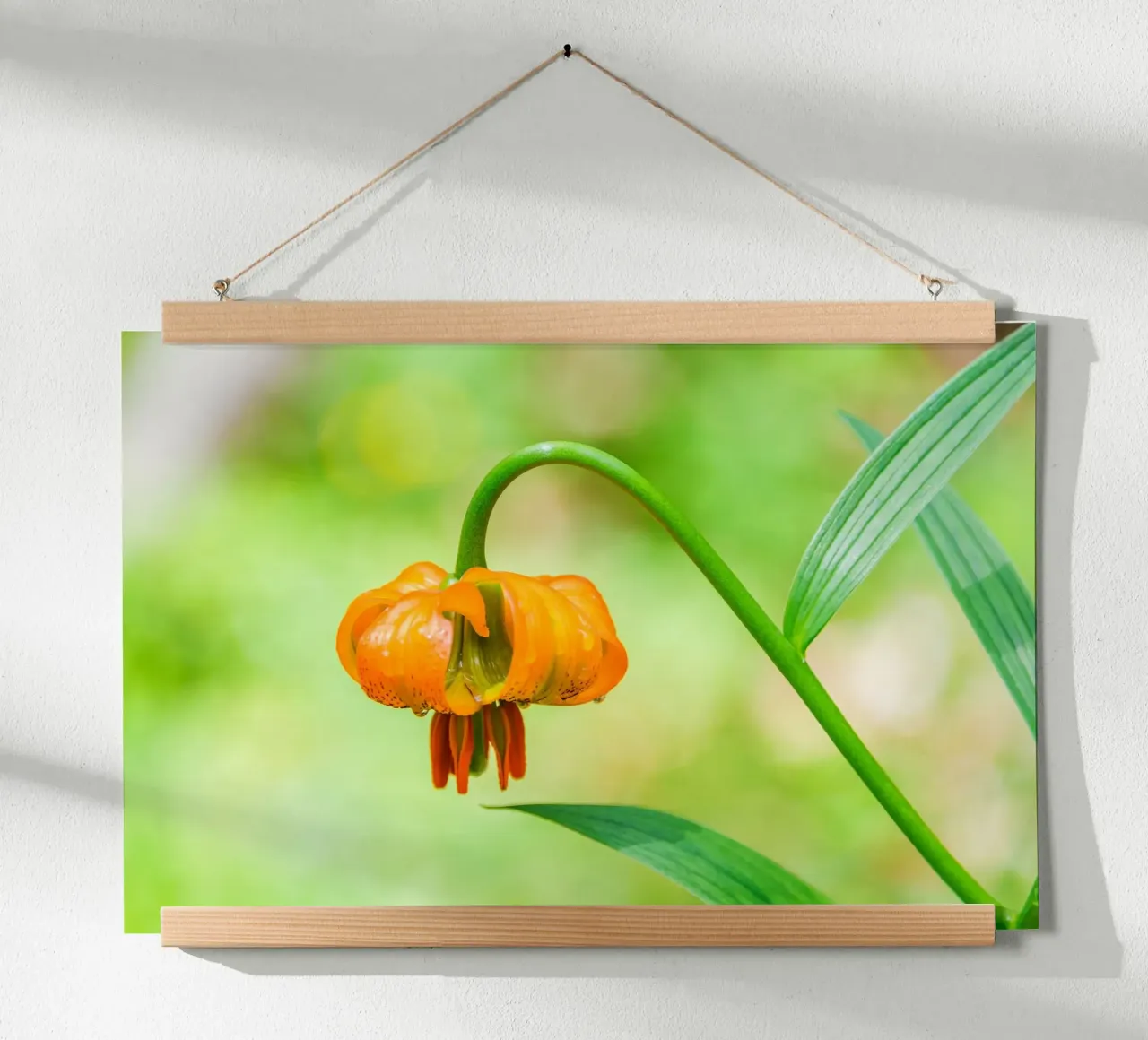 Orange Lily Drop poster with wooden frame by Bold Blooms