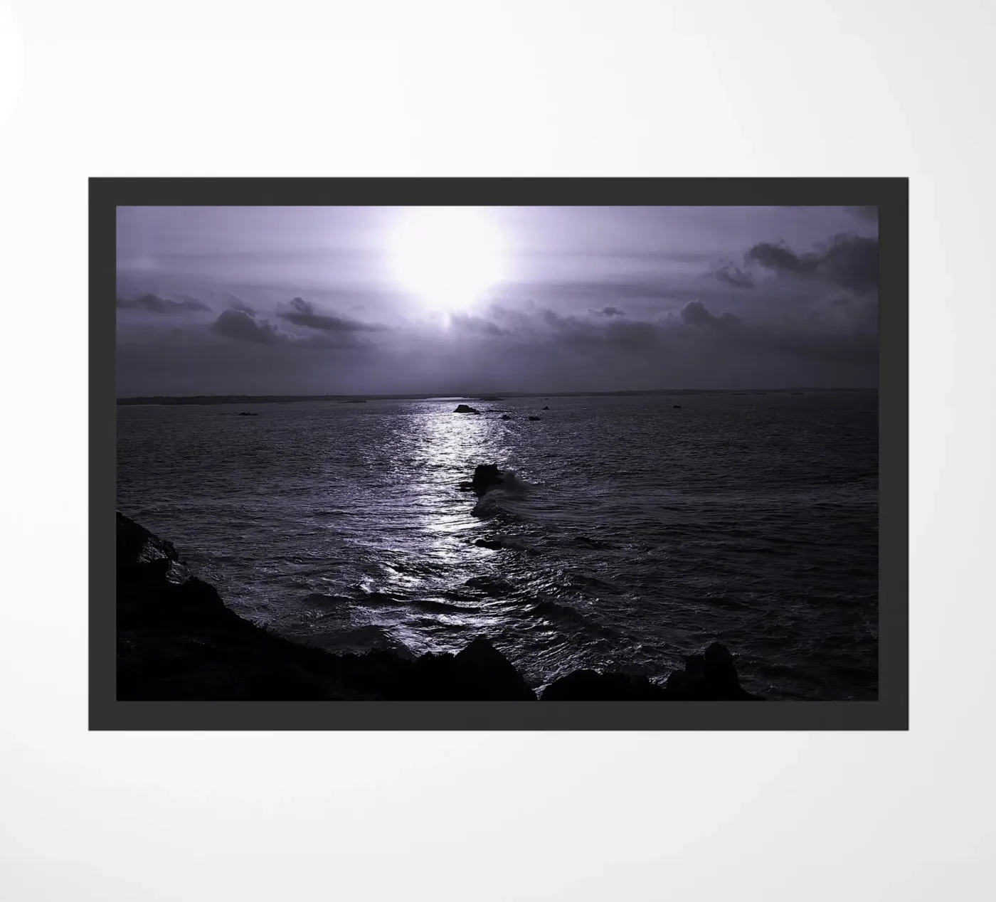 BW 74 zerbino da Thierry vobmann photography