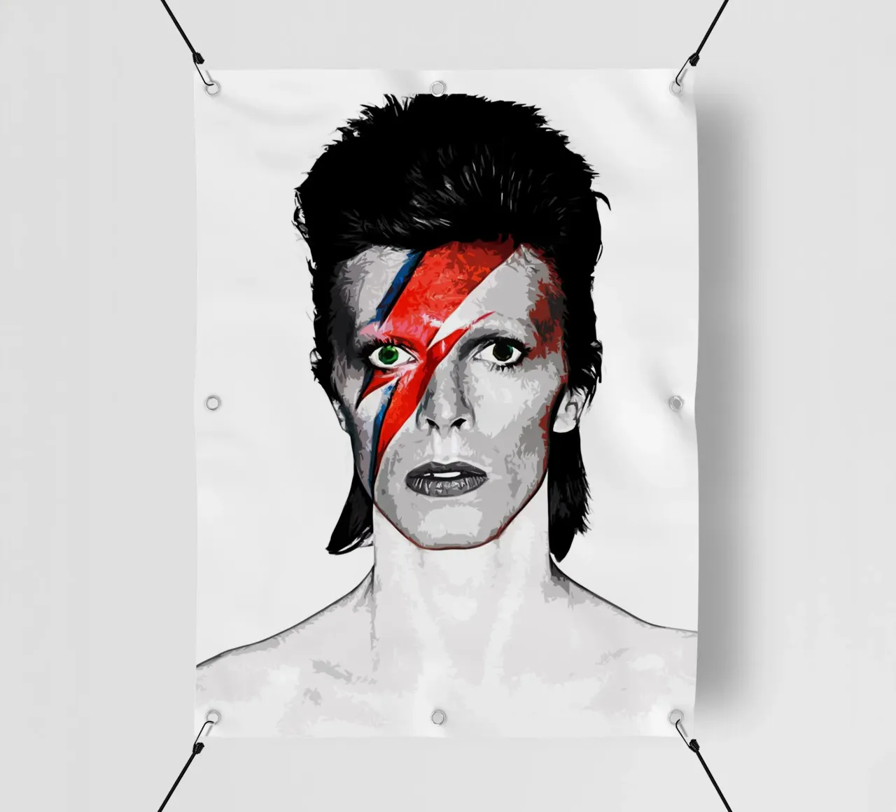 David Bowie 14 Art pvc cover by music soul