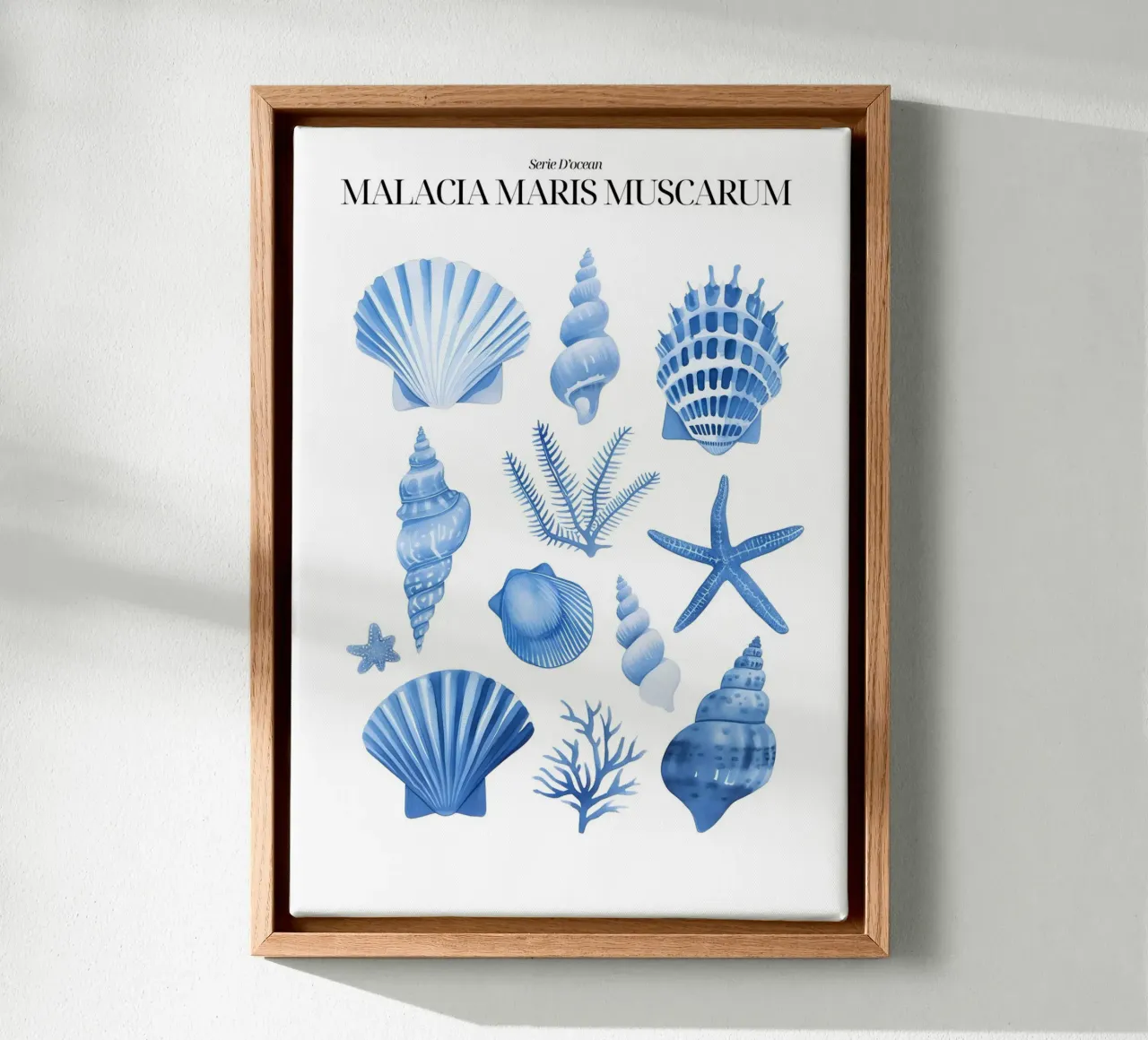 Blaue Muscheln Marine Botanical Ocean Kunstdruck Leinwand mit Schattenfugenrahmen von dawnthesea