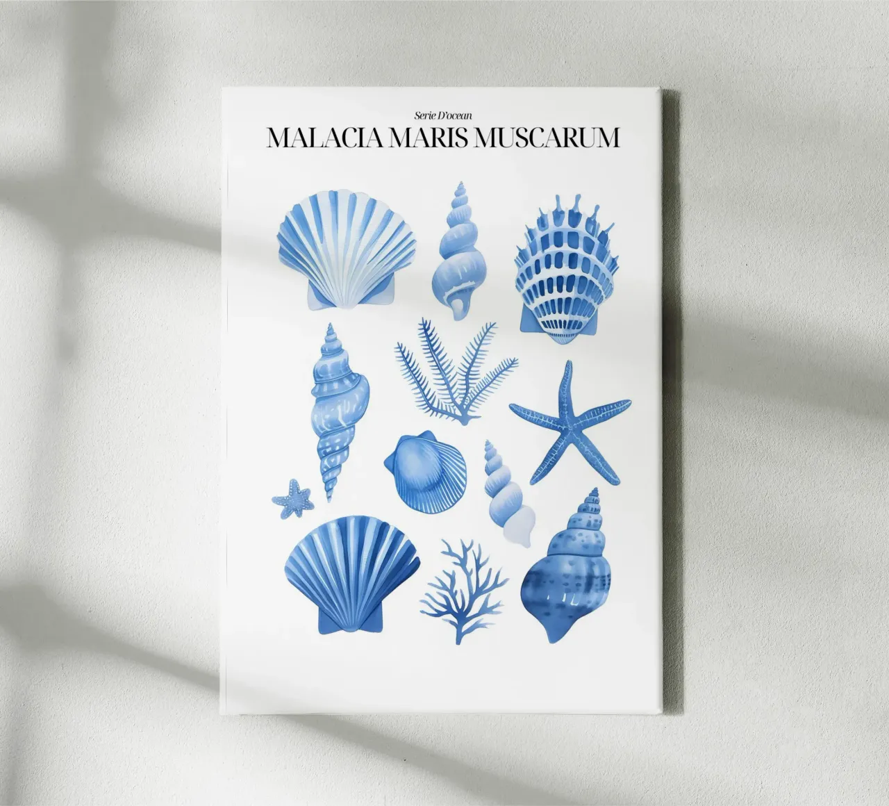 Blaue Muscheln Marine Botanical Ocean Kunstdruck Leinwand mit Schattenfugenrahmen von dawnthesea