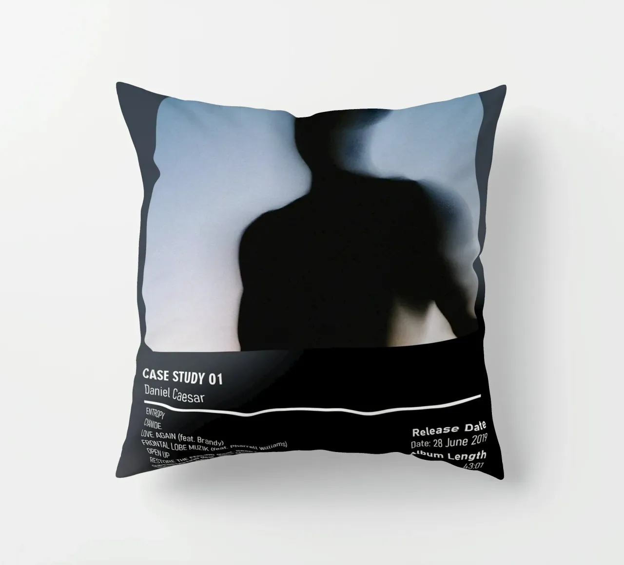 CASE STUDY 01 By Daniel Caesar cuscino da DGUnder