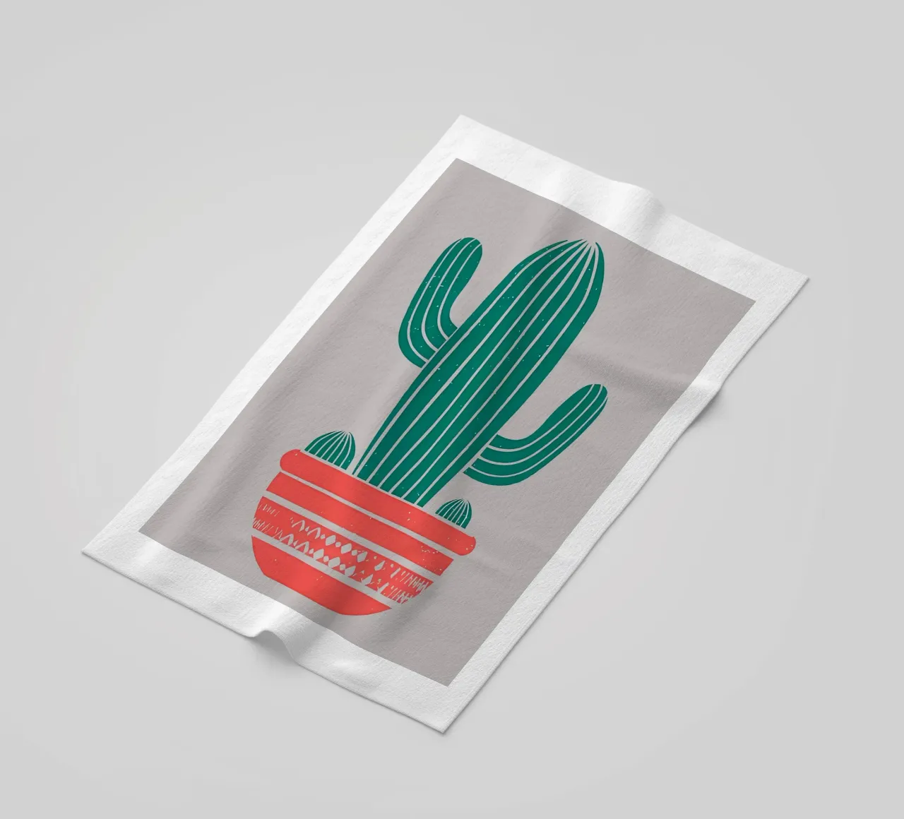 Cactus telo mare da Jose