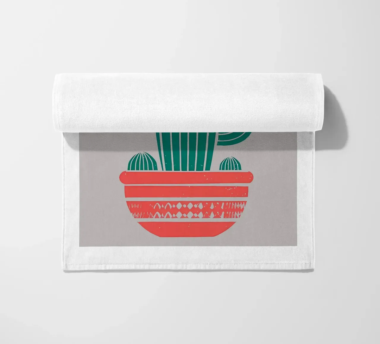 Cactus telo mare da Jose