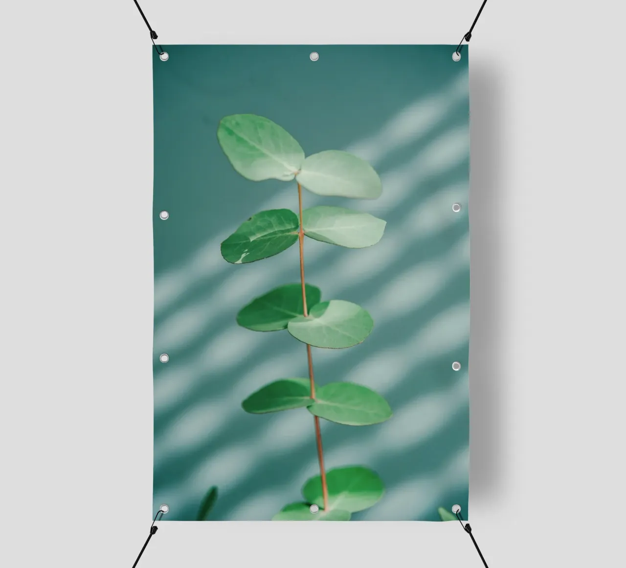 minimalist branch telo in pvc da prindy