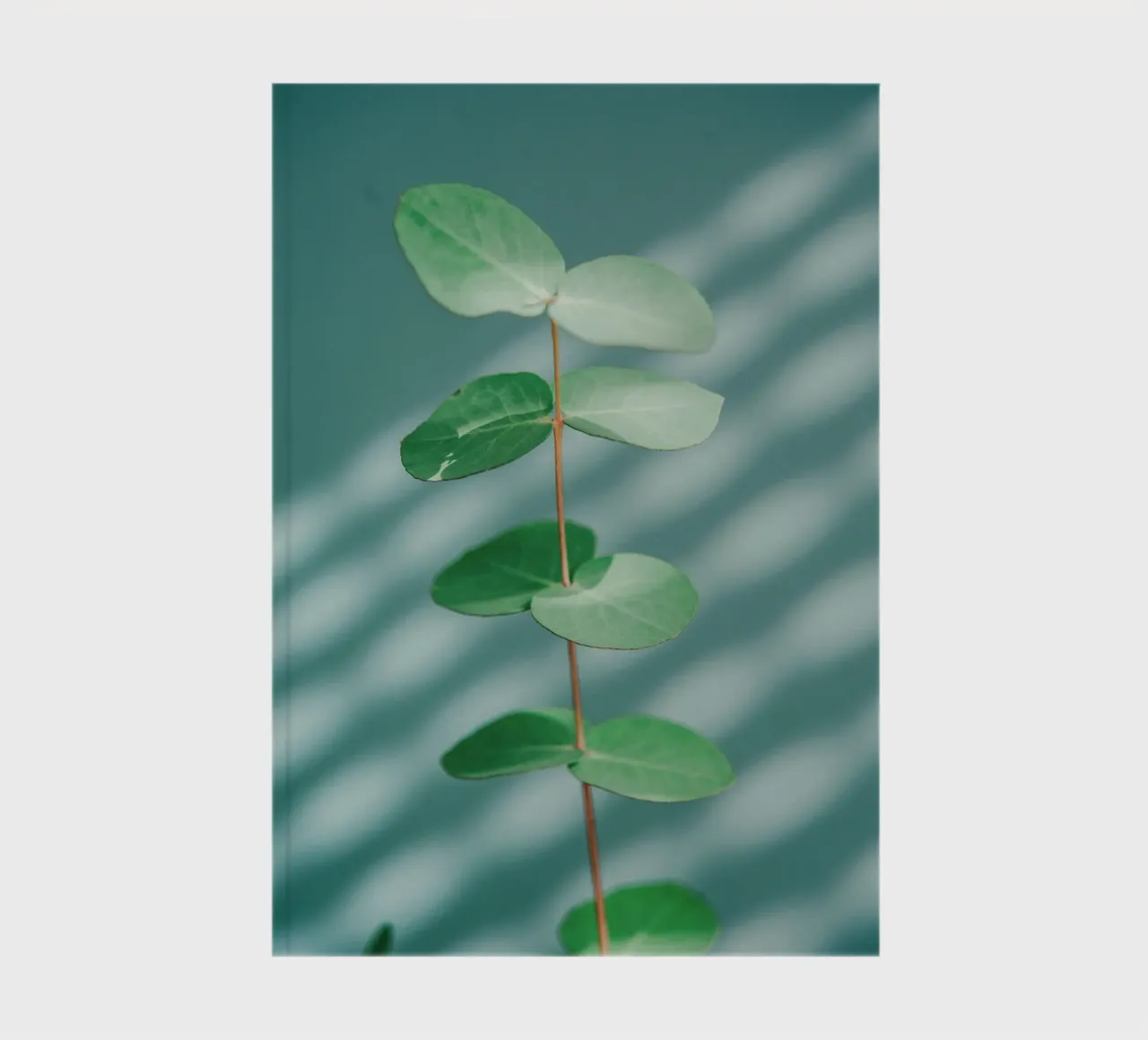 minimalist branch notebook by prindy