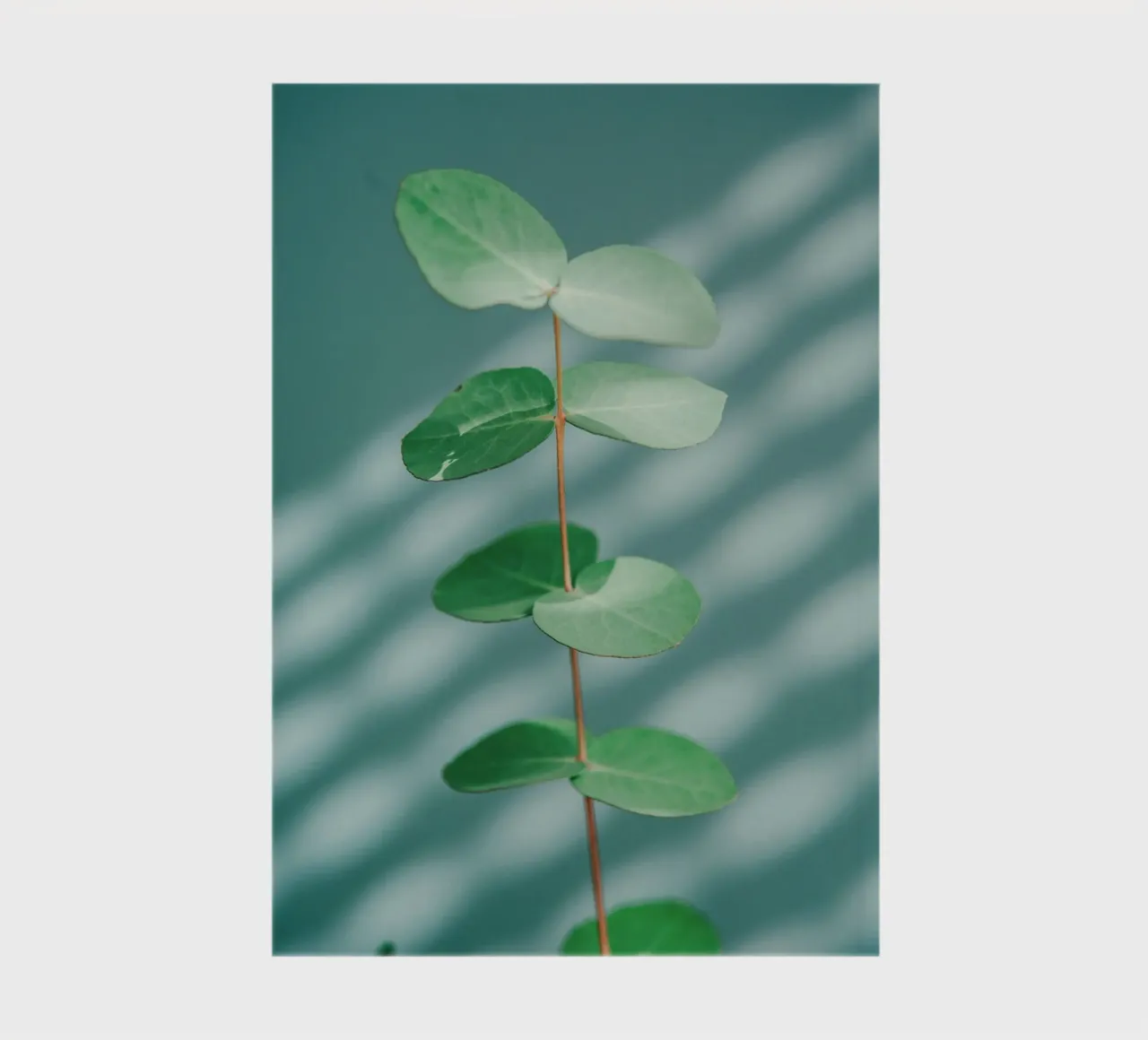 minimalist branch notebook by prindy