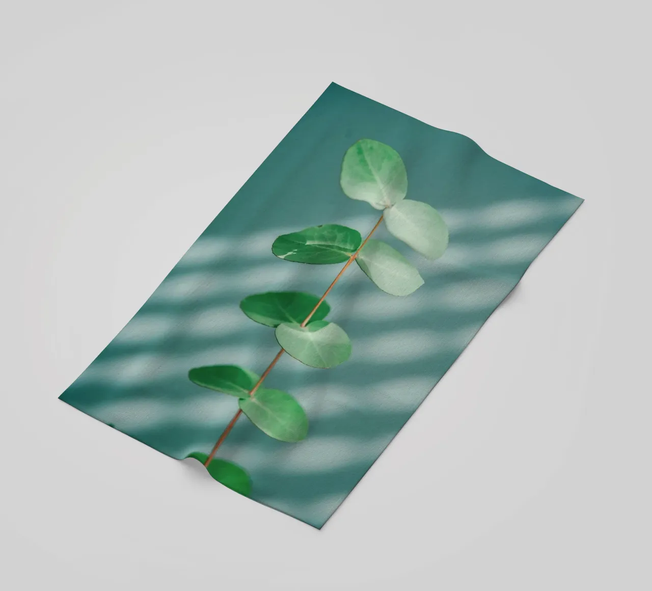 minimalist branch telo mare da prindy