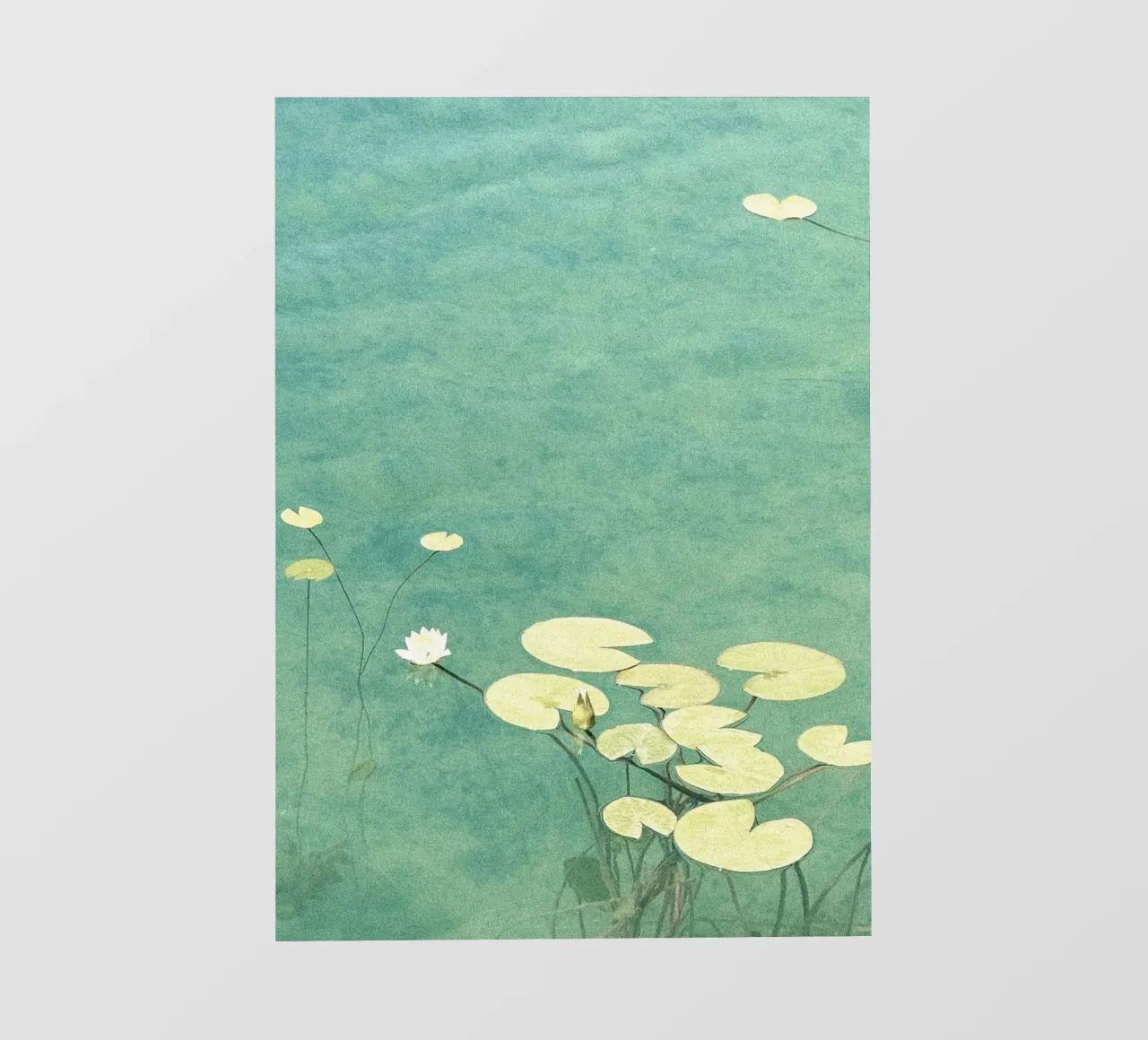 plants aquatic telo in pvc da prindy