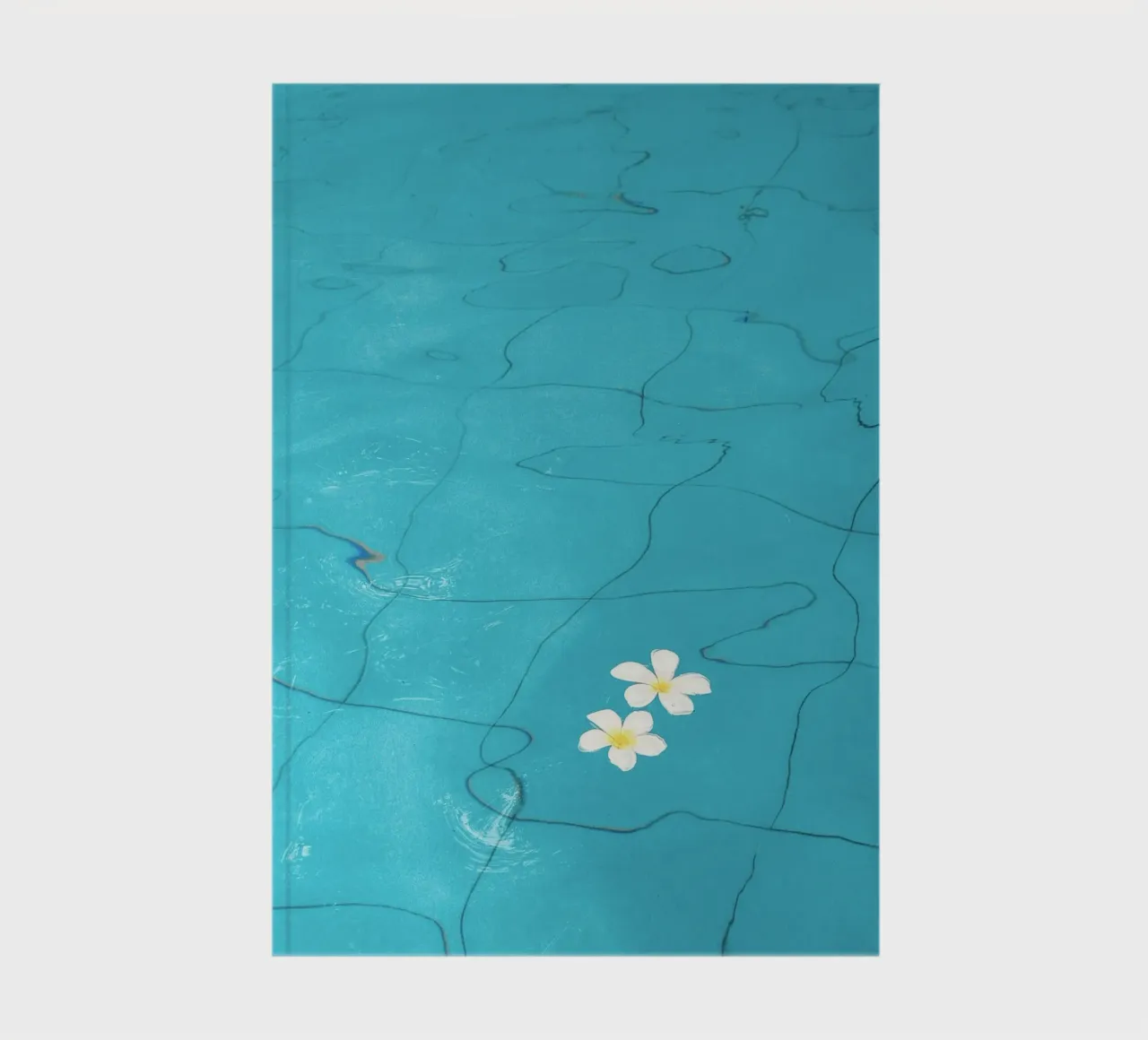 frangipani on pool notebook by prindy