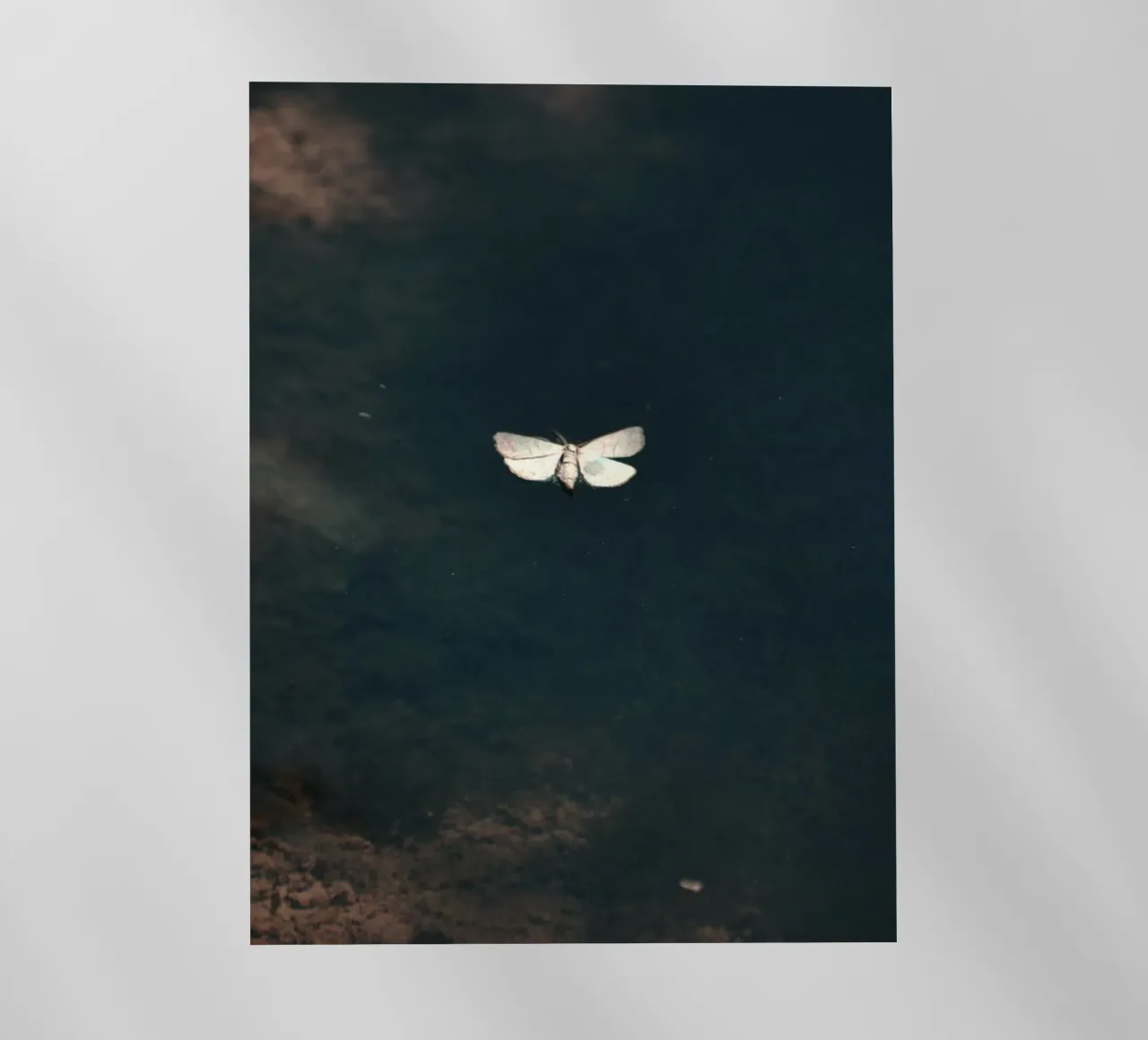 single delicate pellicola backlit da Histrol