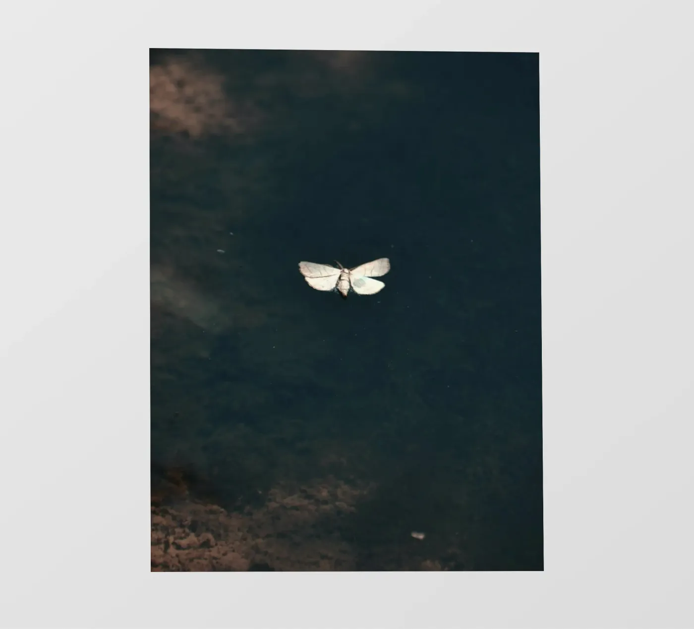 single delicate pellicola backlit da Histrol