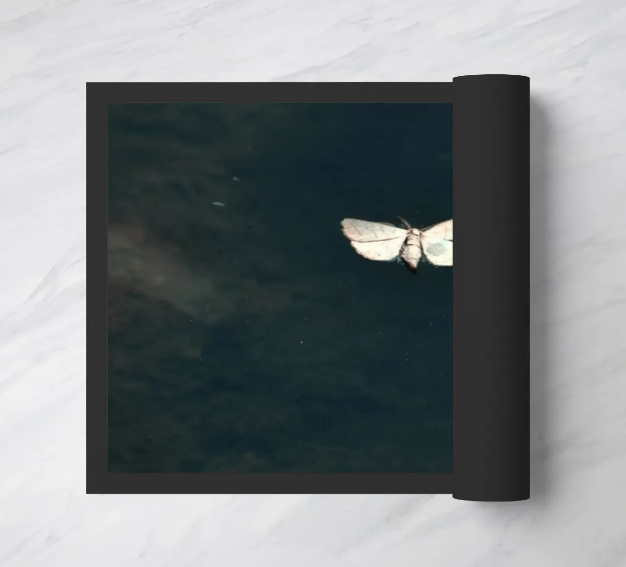 single delicate doormat by Histrol