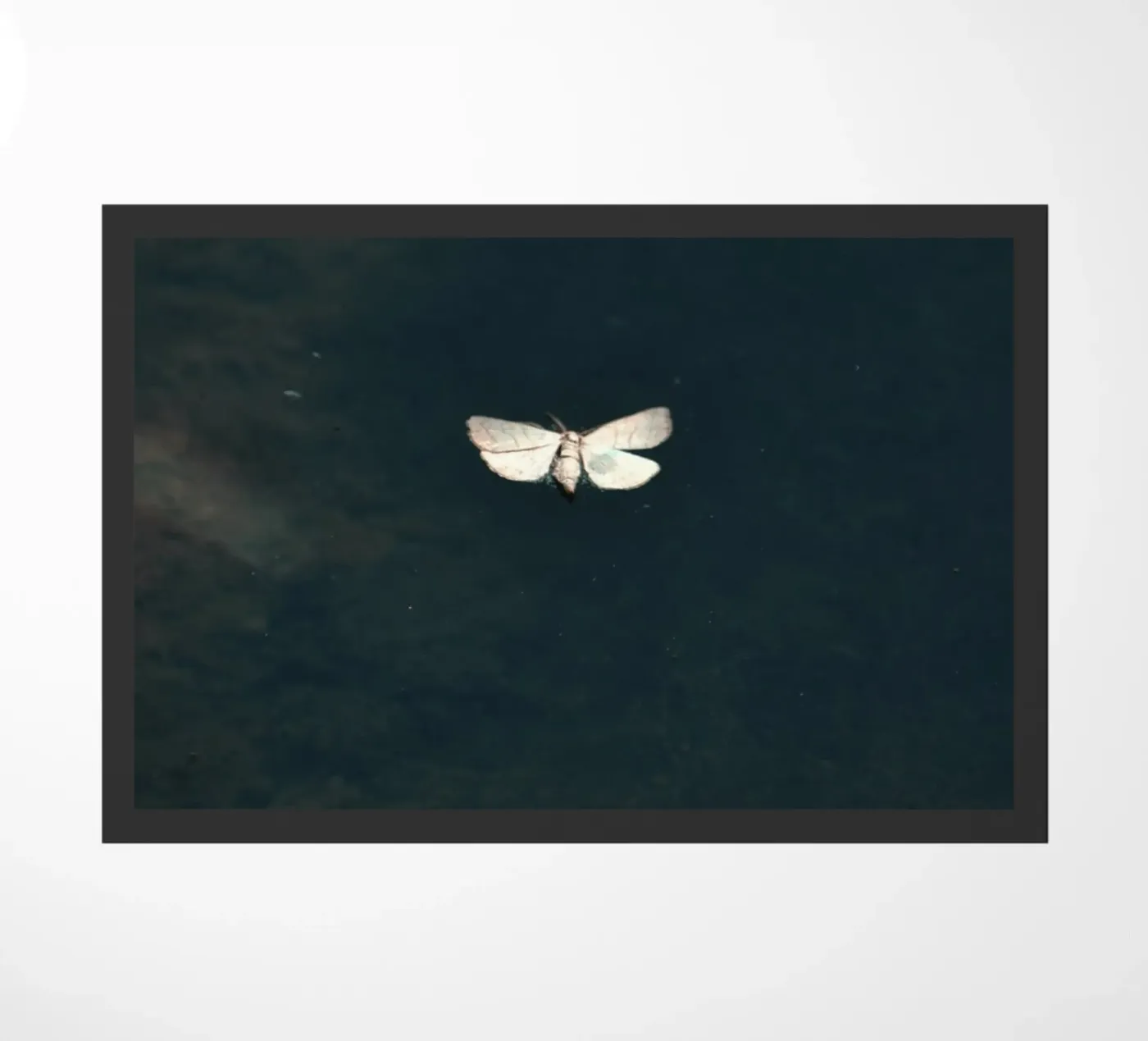 single delicate doormat by Histrol