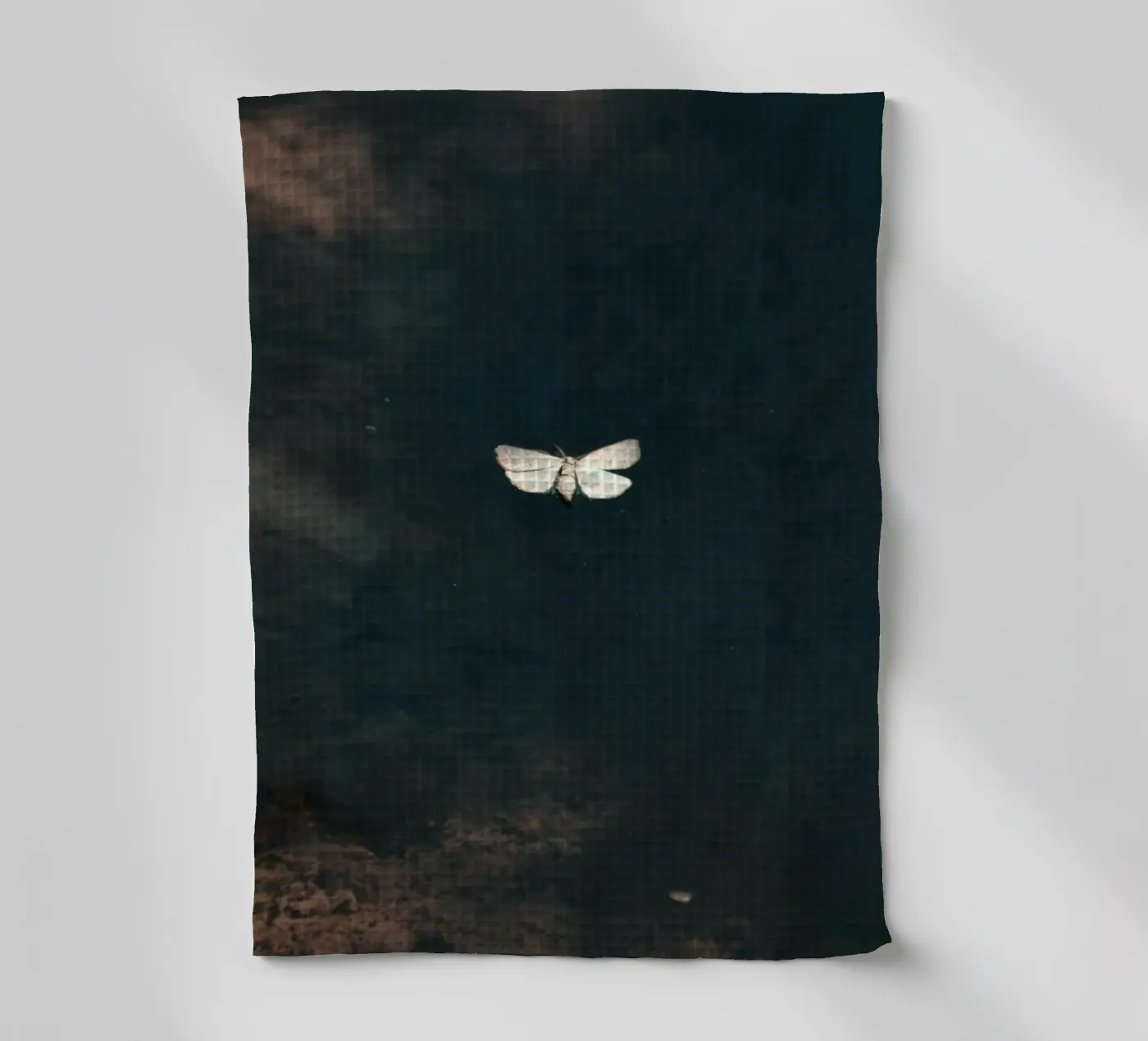 single delicate torchon de Histrol