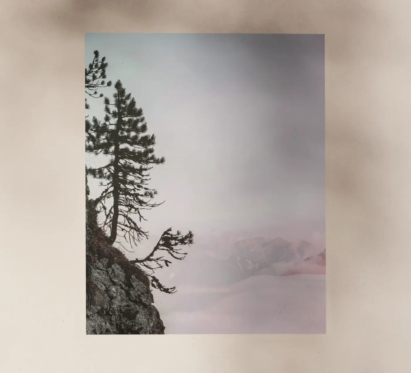 cliff pine tree pellicola backlit da Histrol