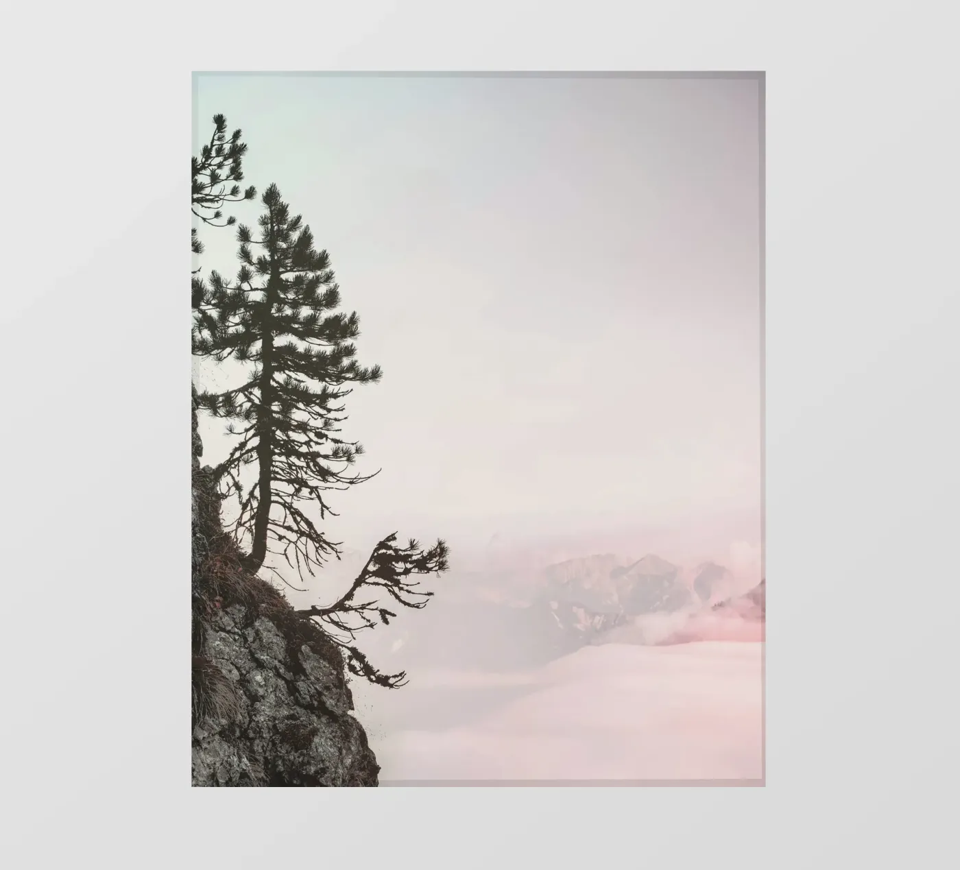 cliff pine tree pellicola backlit da Histrol