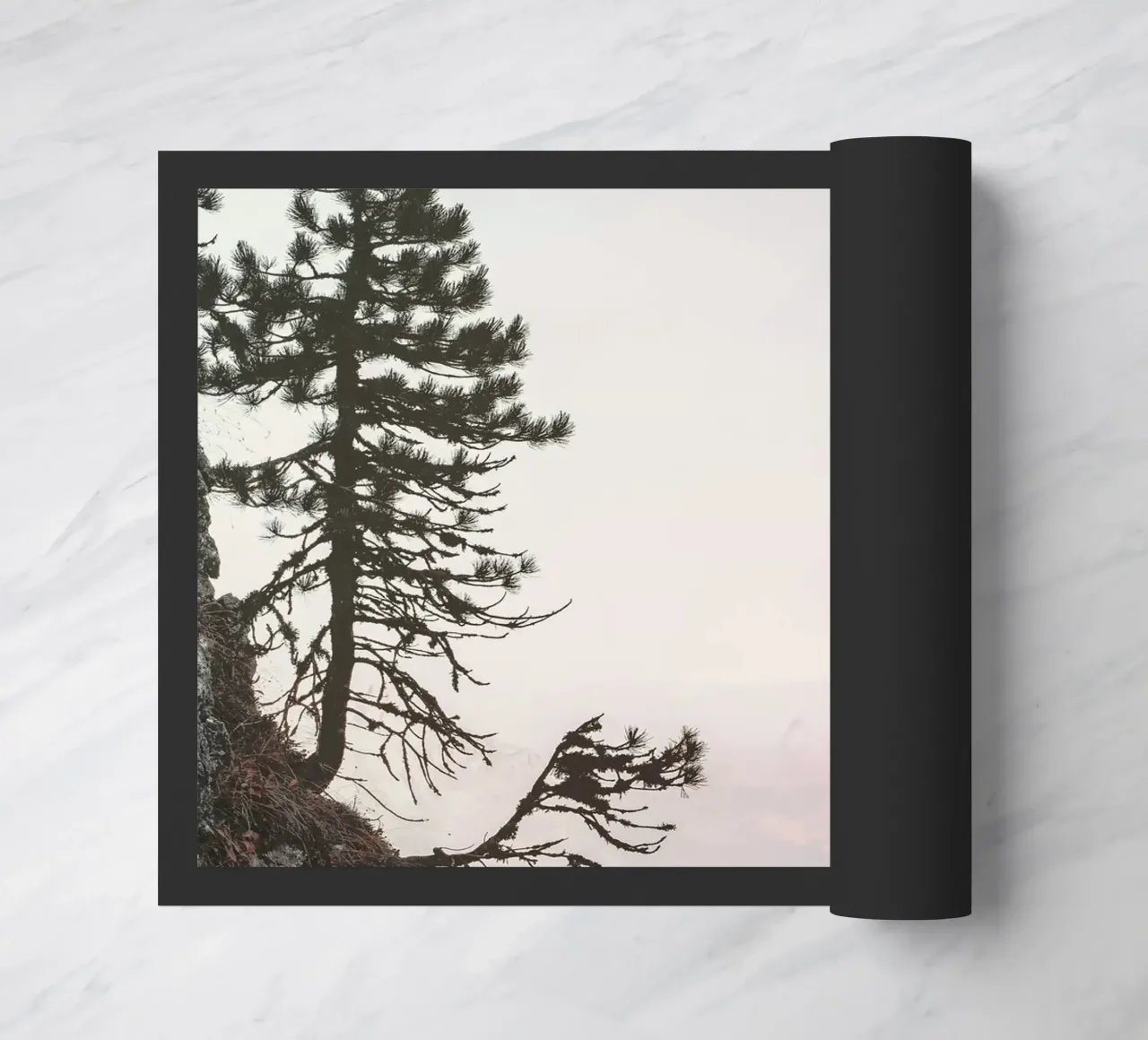 cliff pine tree zerbino da Histrol