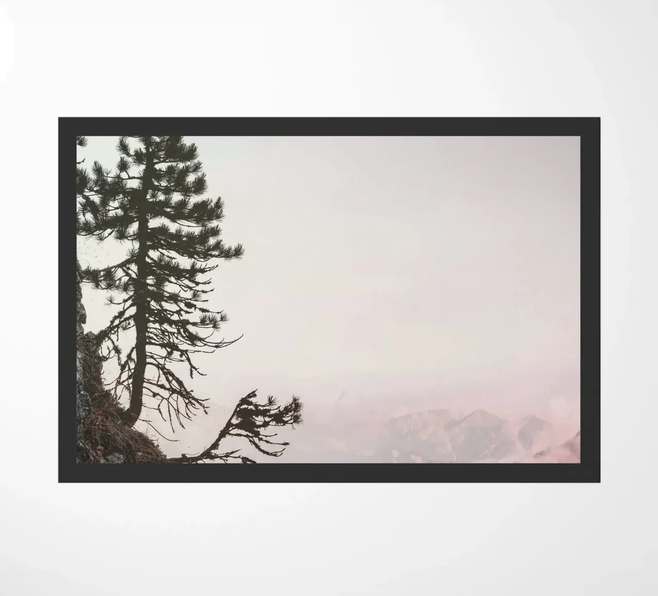 cliff pine tree zerbino da Histrol