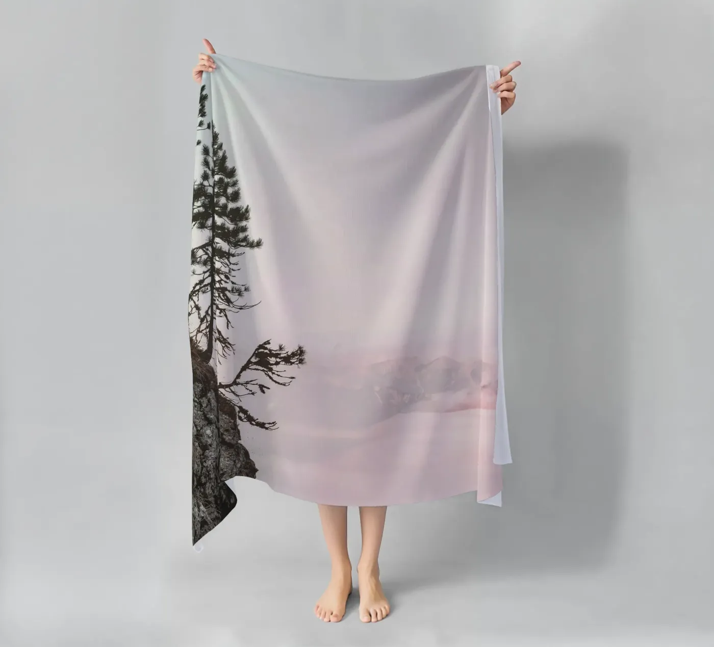 cliff pine tree telo mare da Histrol