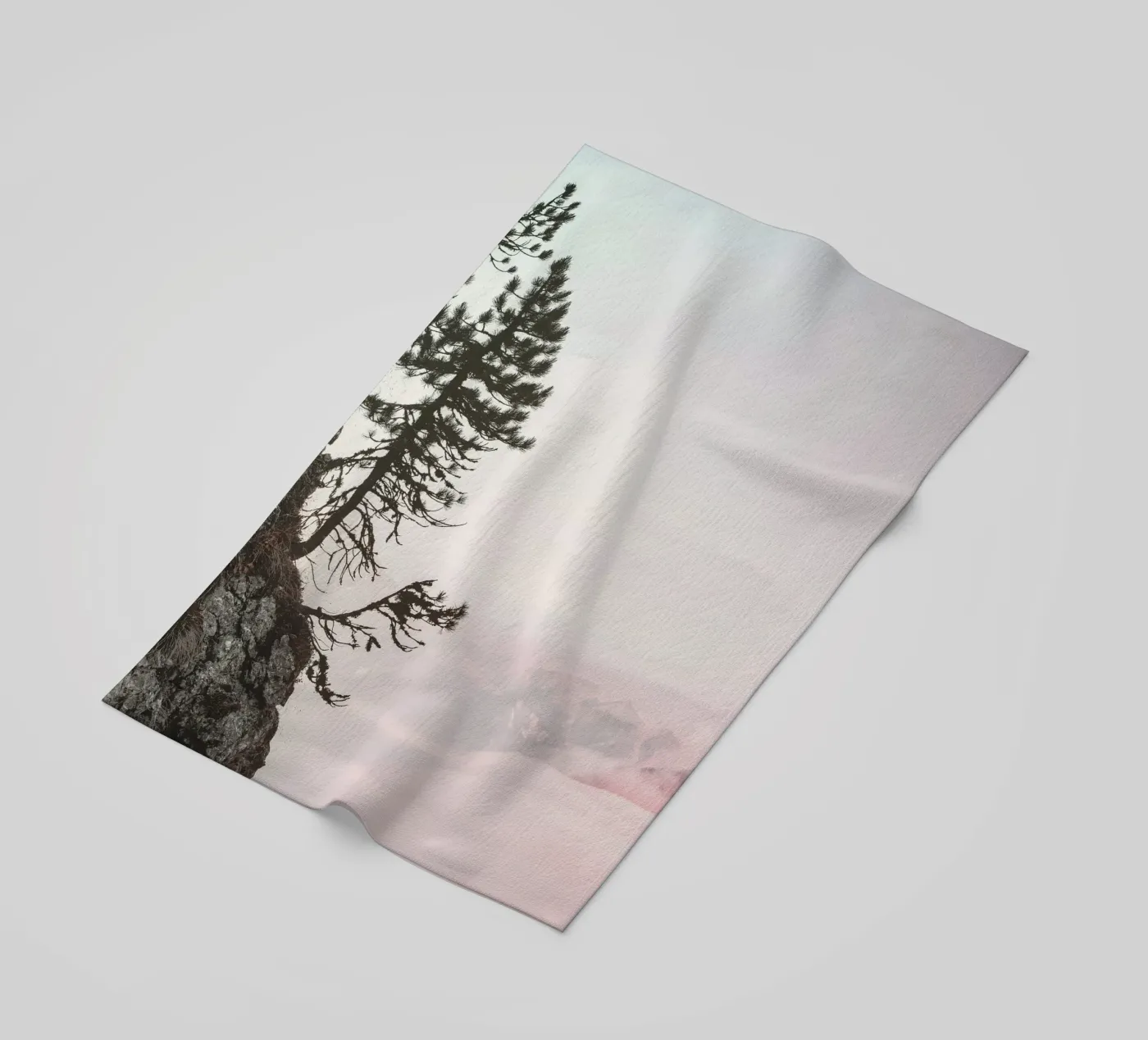 cliff pine tree telo mare da Histrol