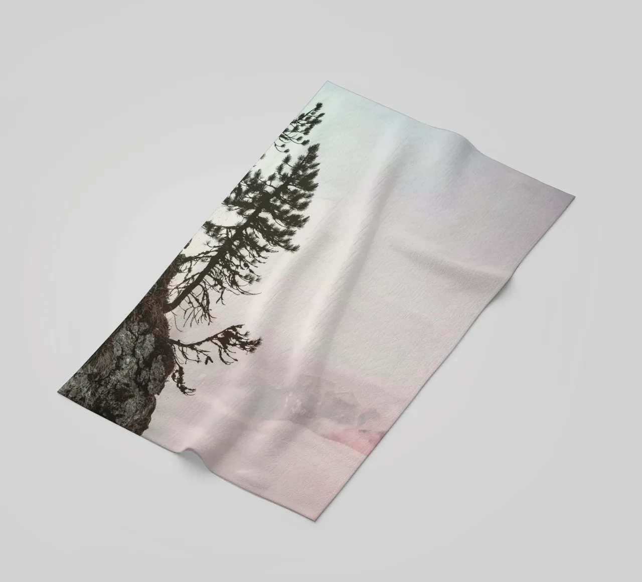 cliff pine tree telo mare da Histrol