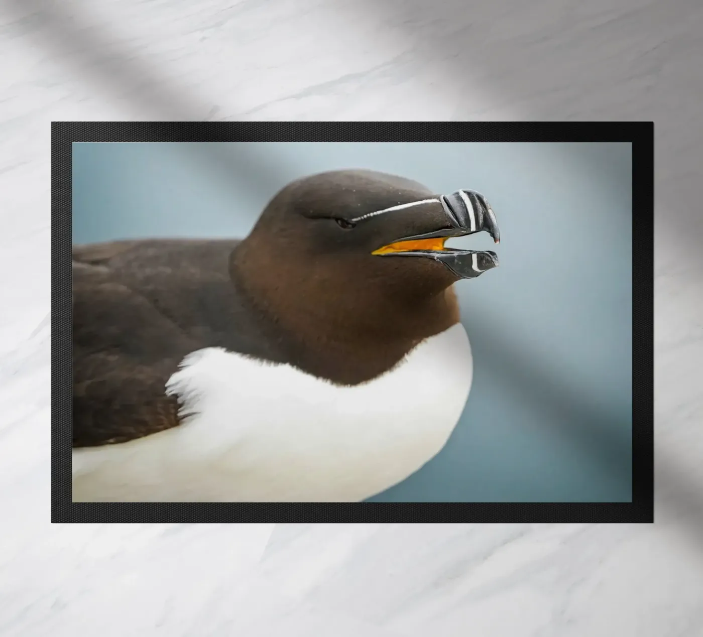 Razorbill doormat by Tom's Wildlife