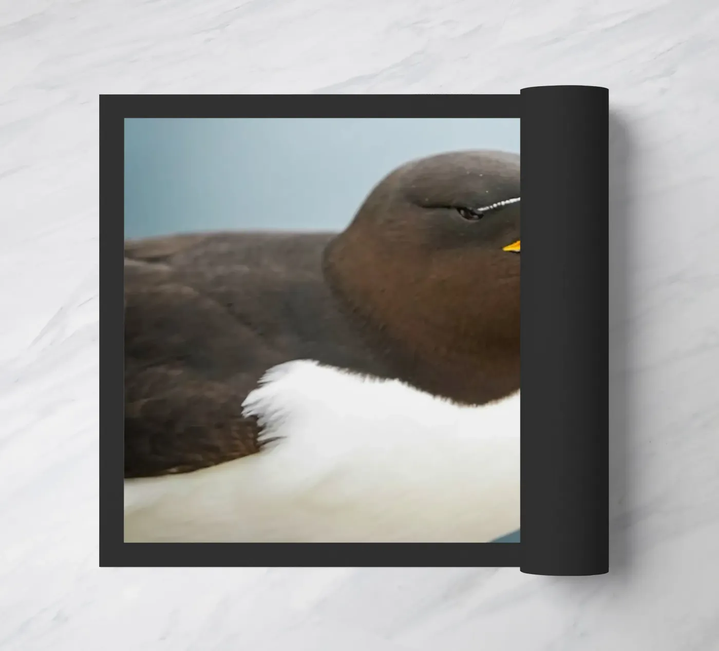Razorbill doormat by Tom's Wildlife