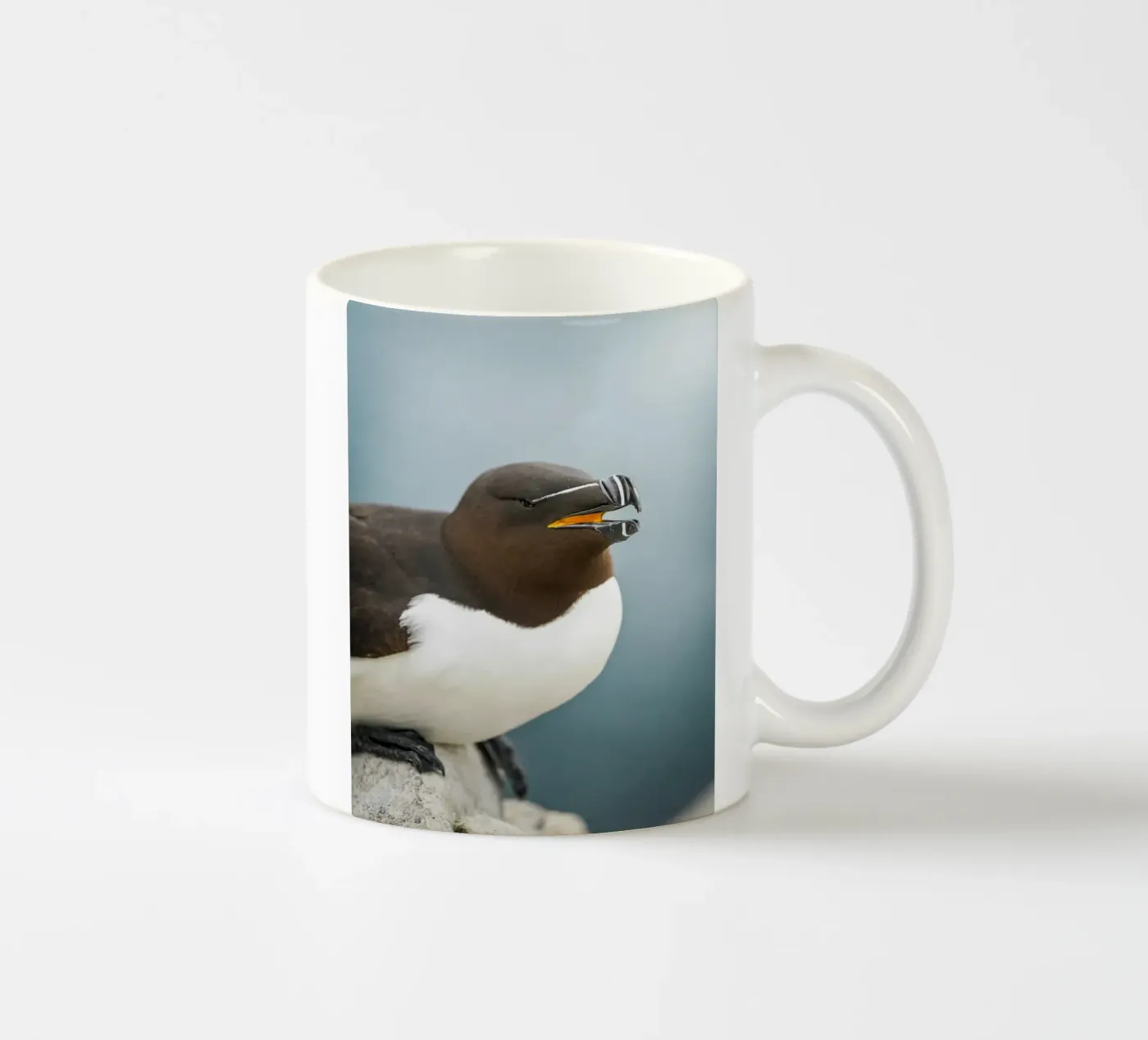 Razorbill ceramic mug by Tom's Wildlife