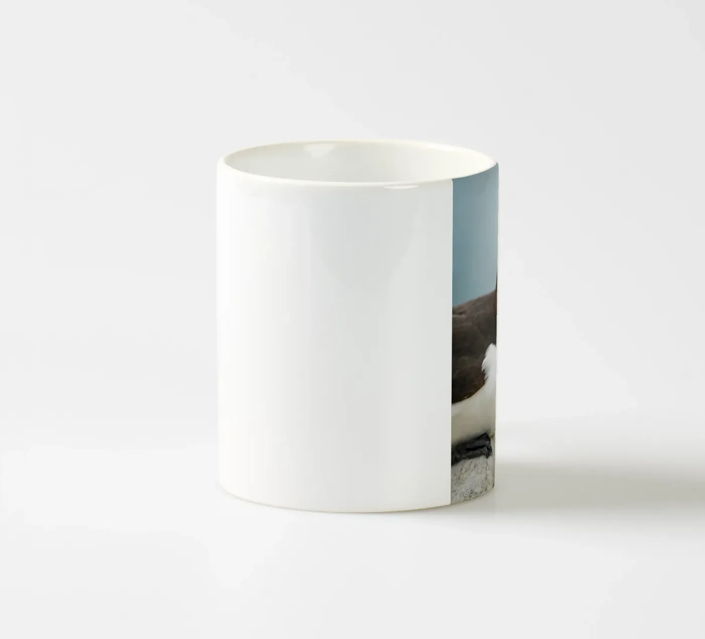 Razorbill ceramic mug by Tom's Wildlife