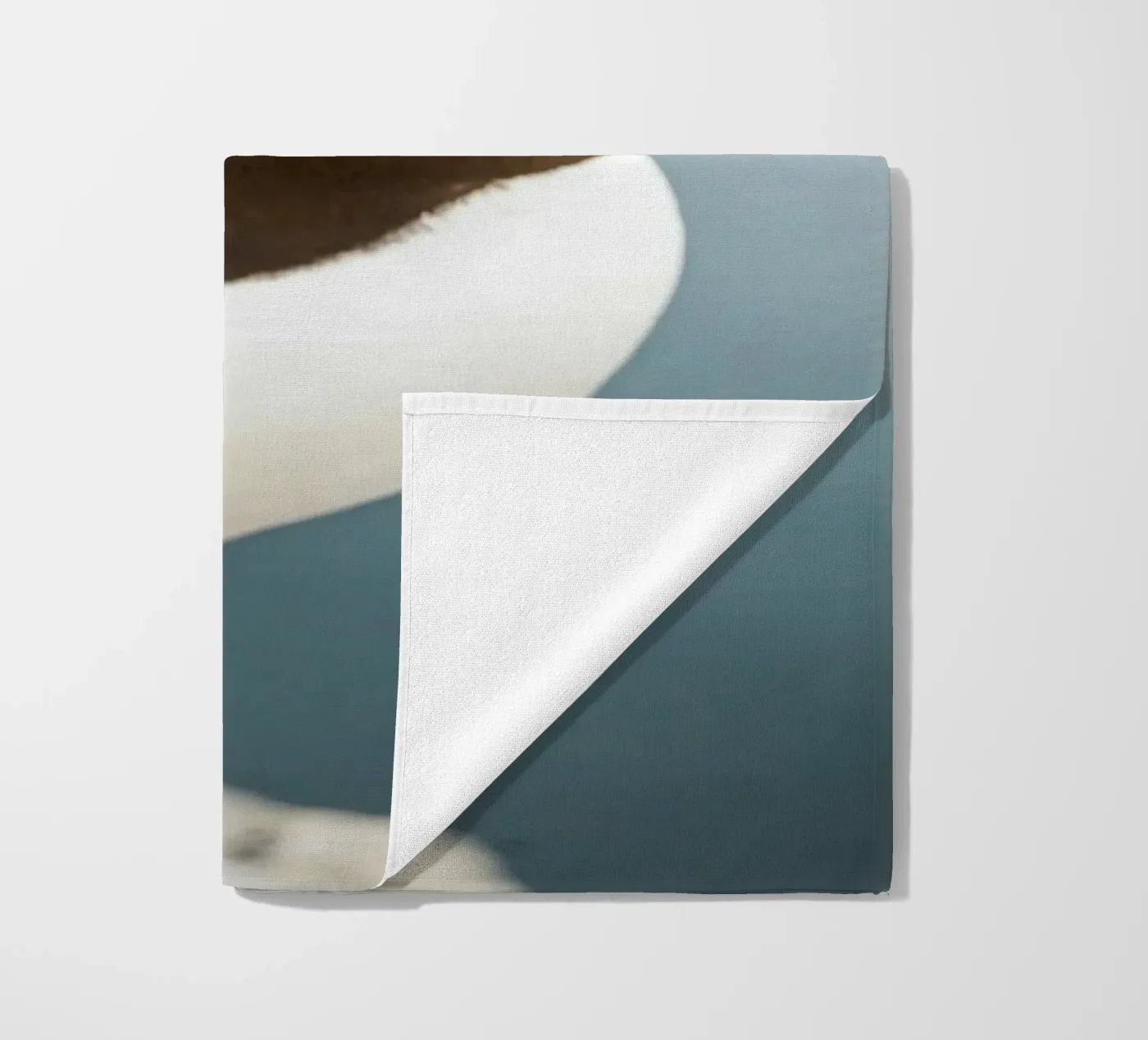 Razorbill telo mare da Tom's Wildlife