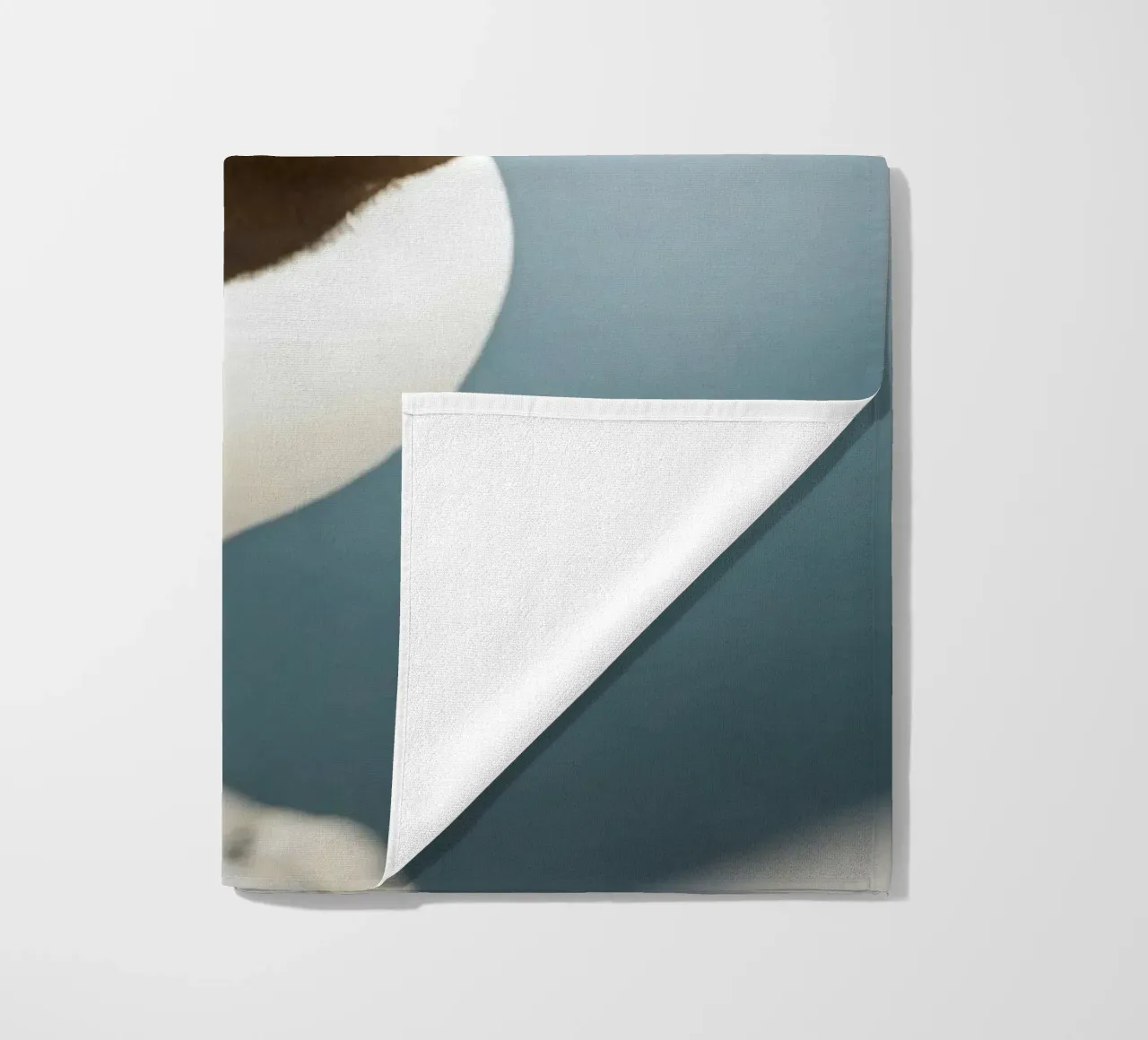 Razorbill telo mare da Tom's Wildlife