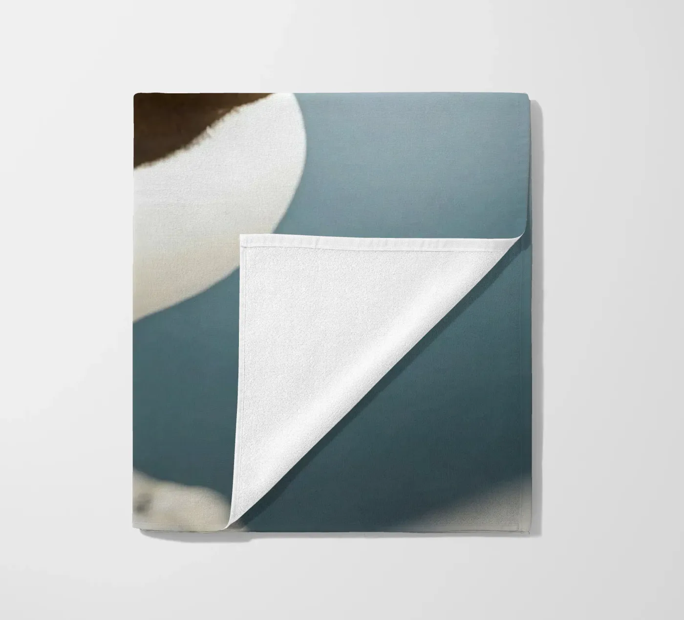 Razorbill telo mare da Tom's Wildlife