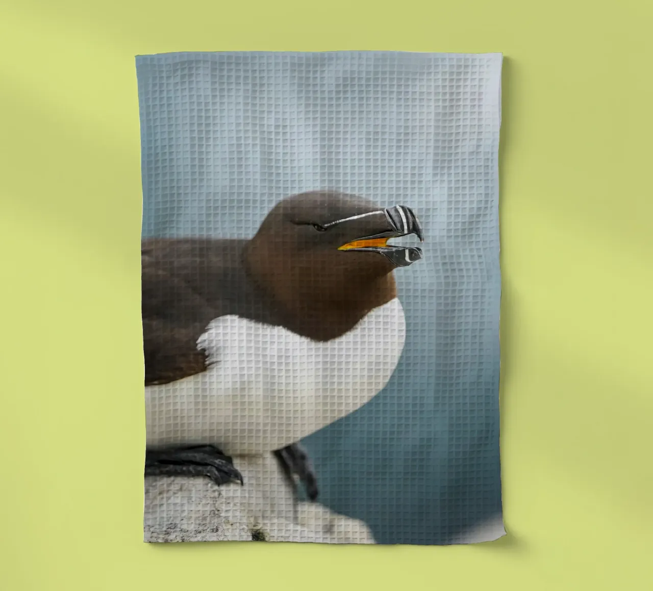 Razorbill tea towel by Tom's Wildlife