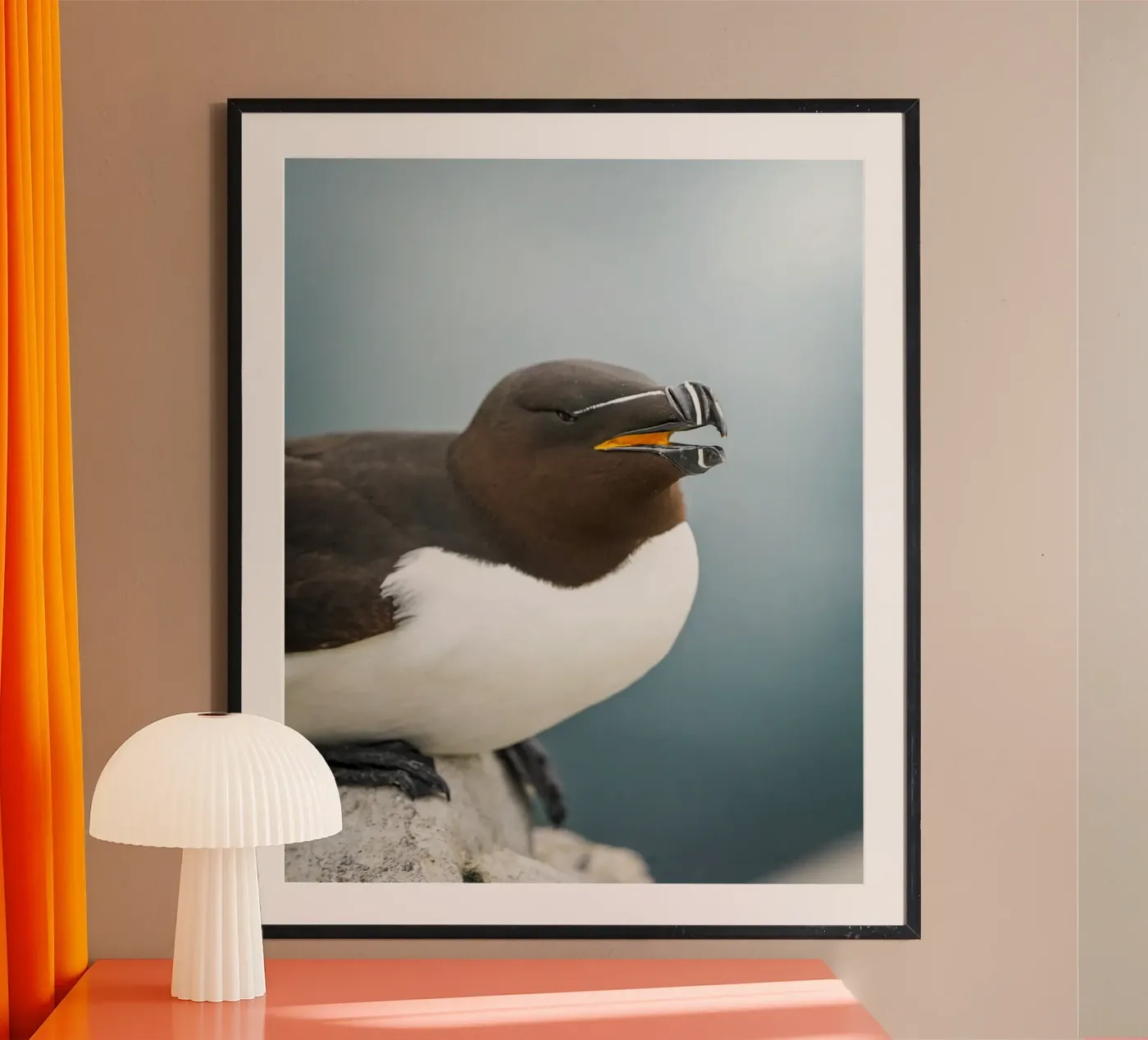 Razorbill poster by Tom's Wildlife