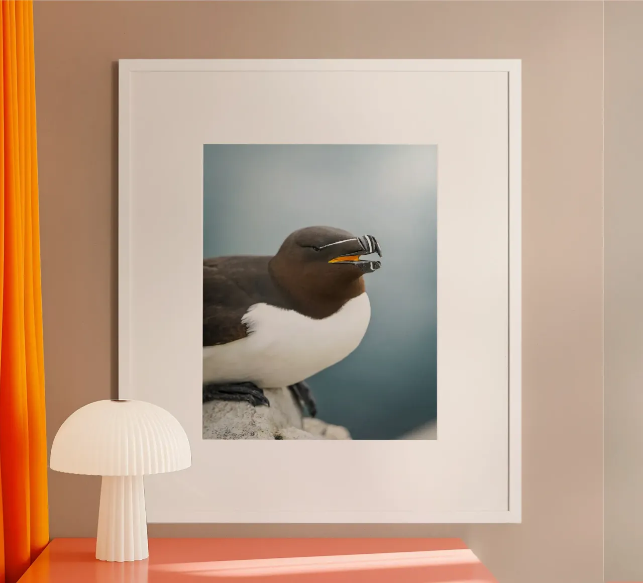 Razorbill poster da Tom's Wildlife