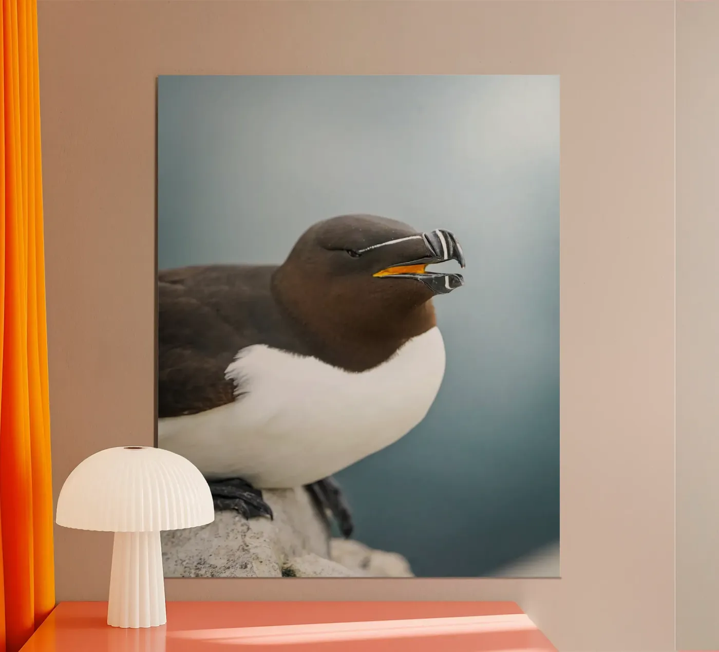Razorbill poster by Tom's Wildlife