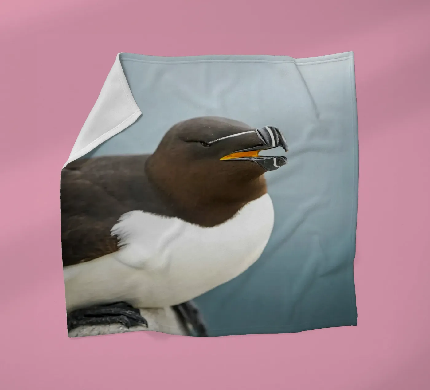 Razorbill fleece blanket by Tom's Wildlife