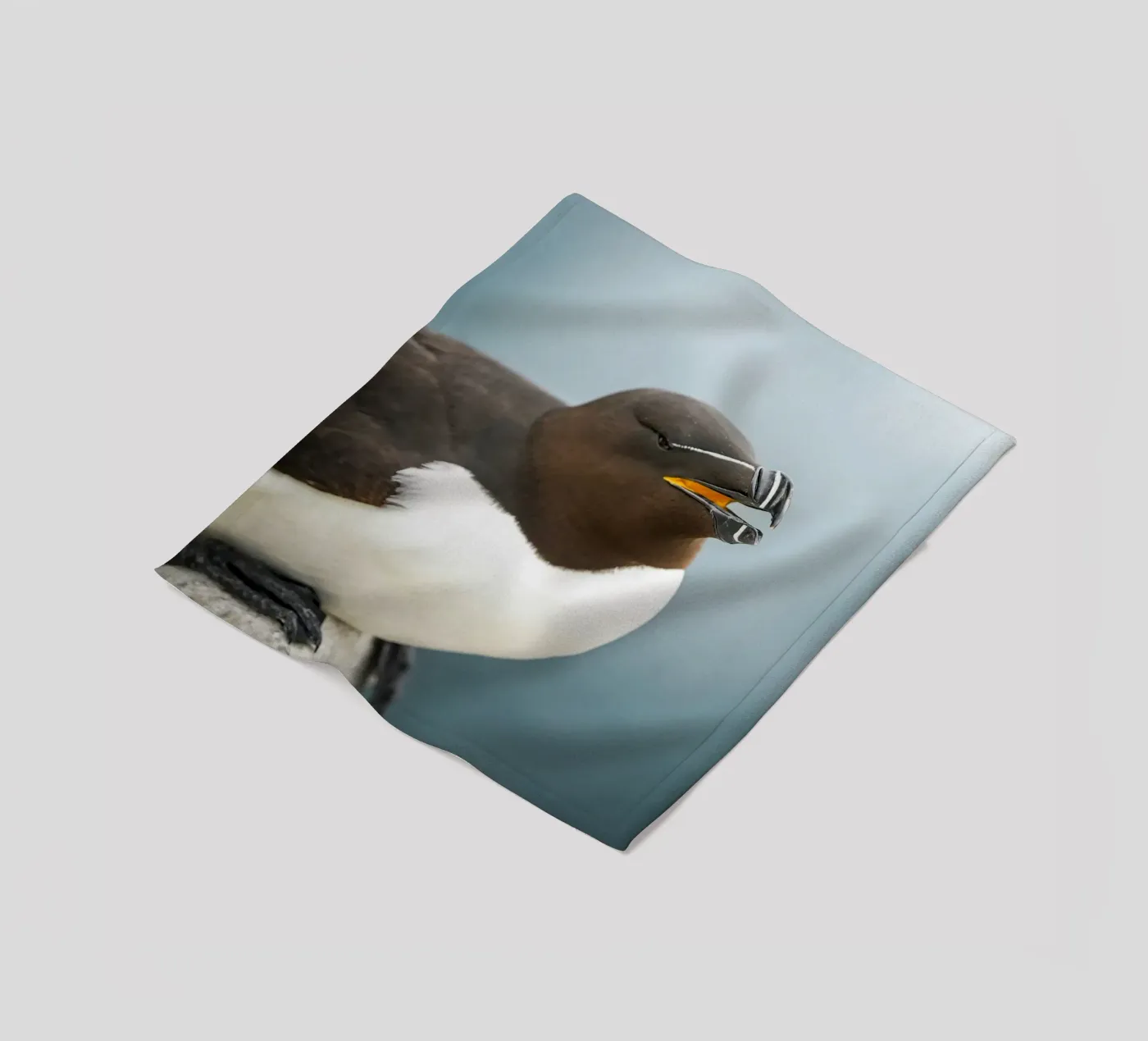Razorbill fleece blanket by Tom's Wildlife