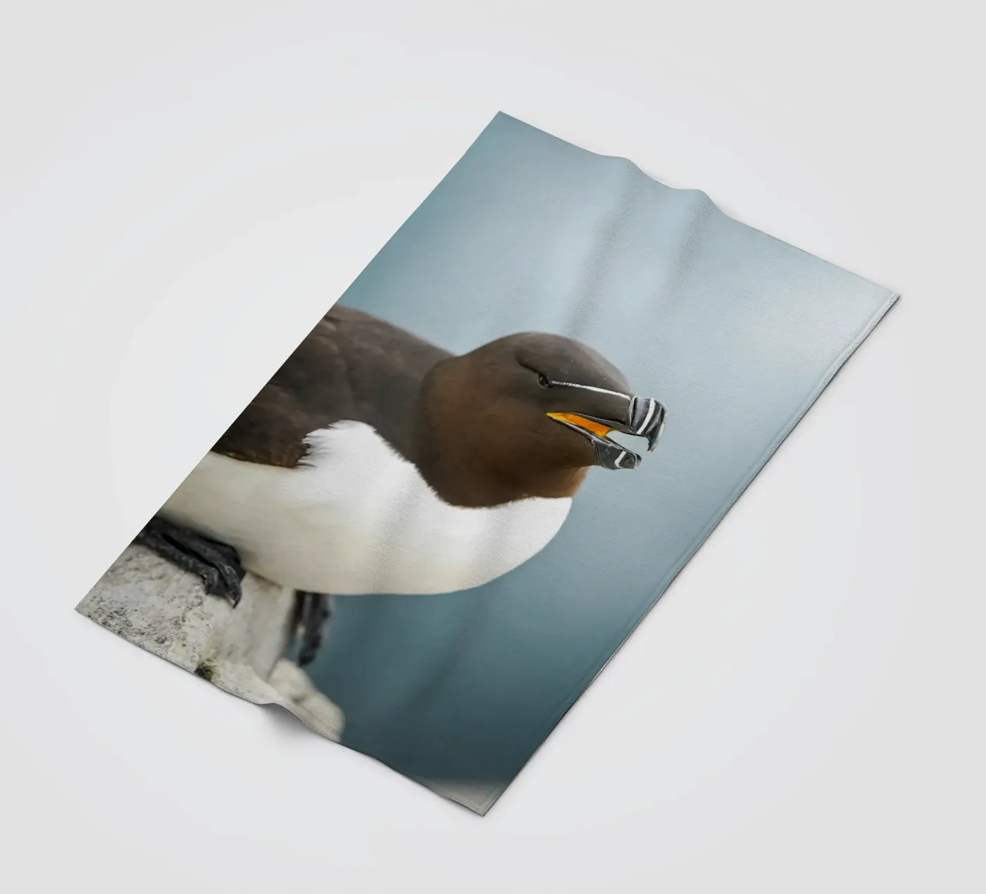 Razorbill fleece blanket by Tom's Wildlife