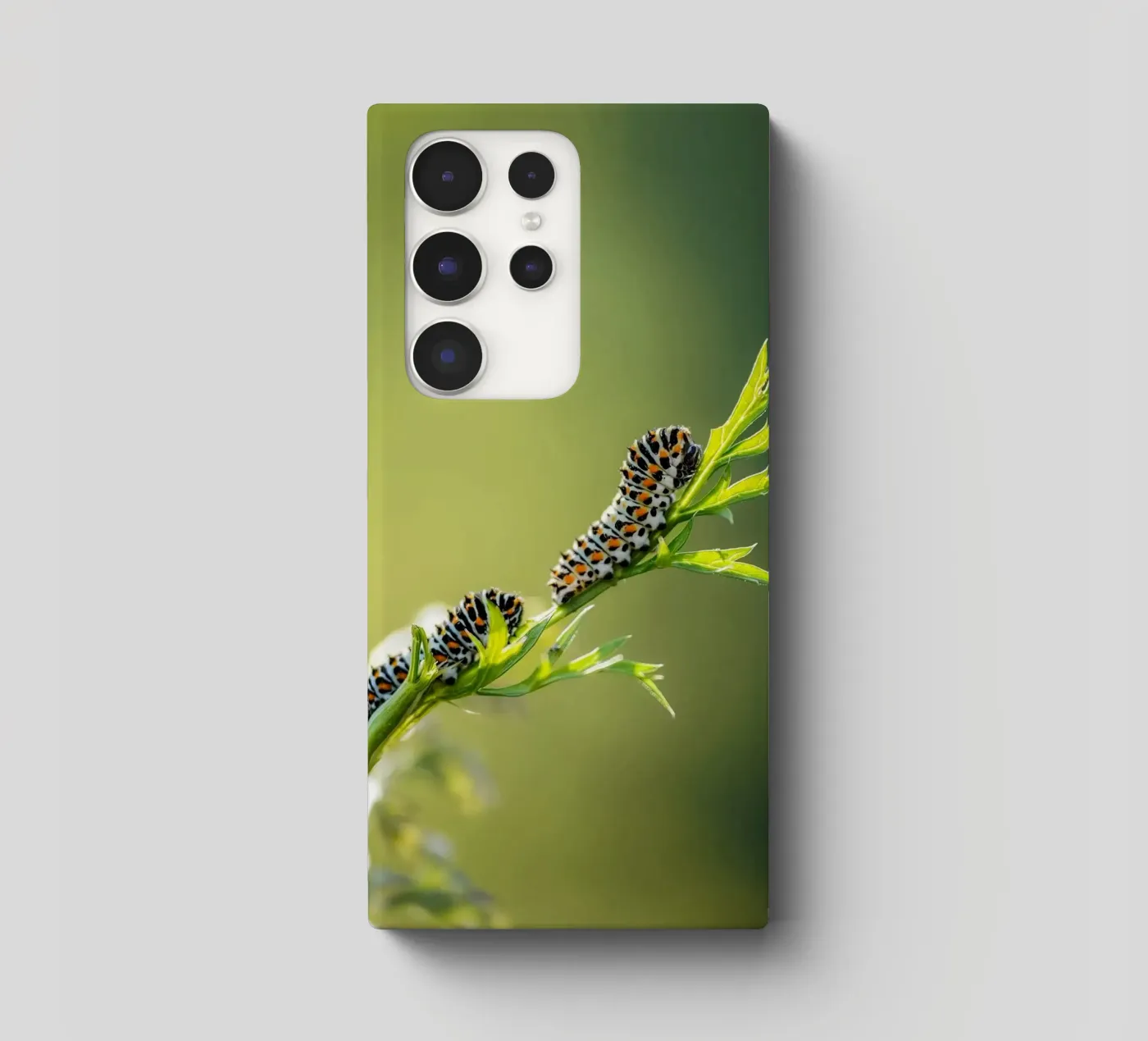 Caterpillar cover samsung da Tom's Wildlife