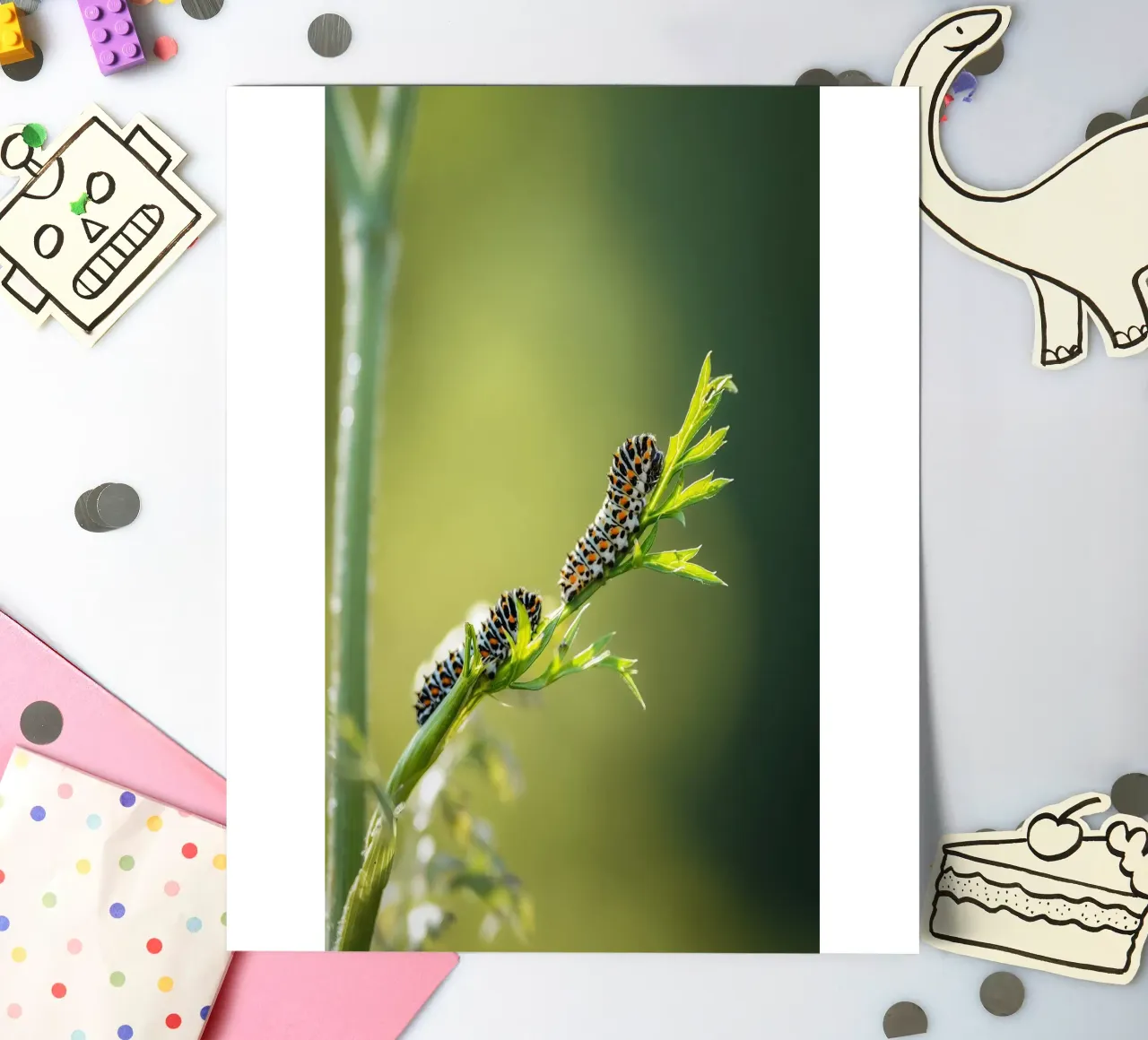 Caterpillar sticker sheet by Tom's Wildlife