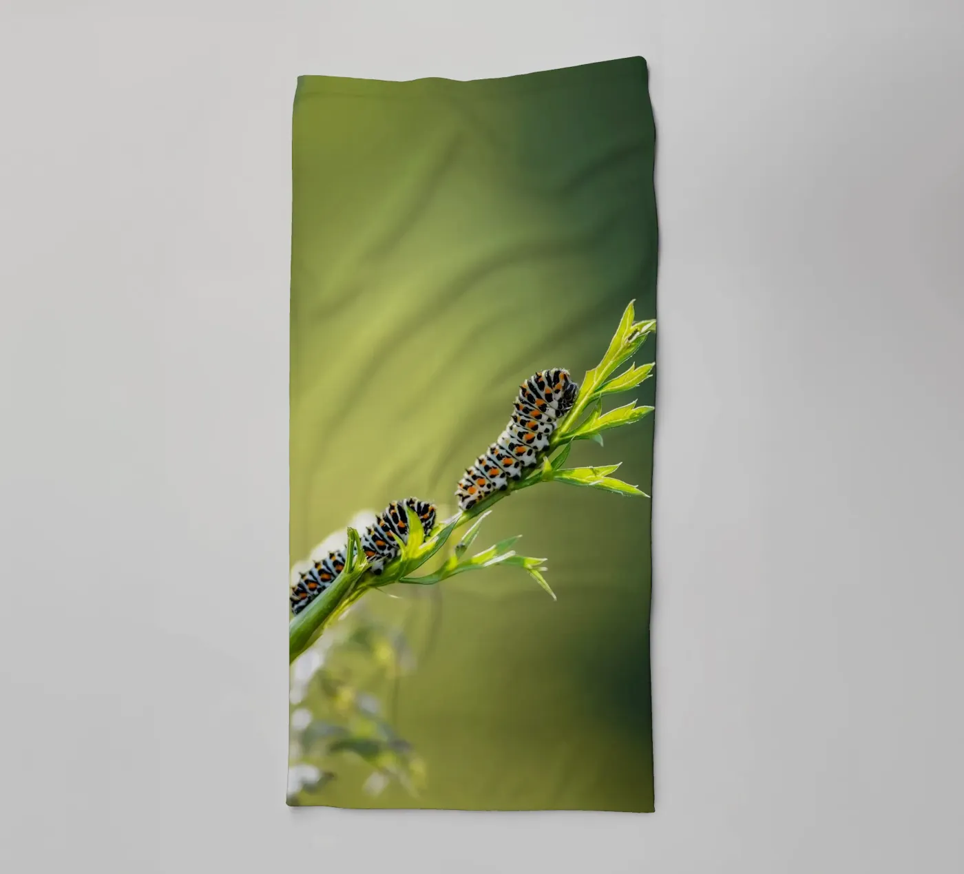 Rups badhanddoek van Tom's Wildlife