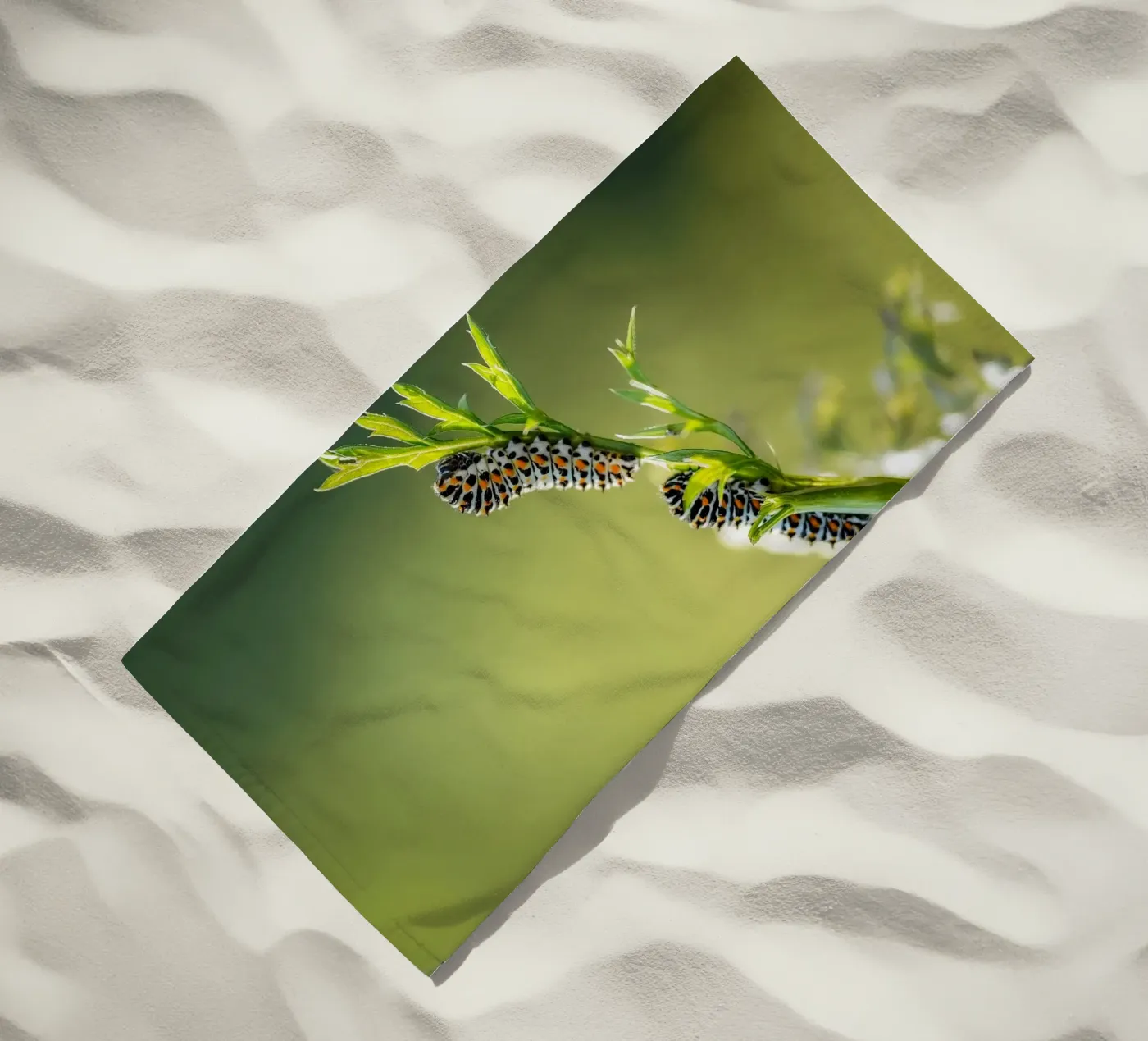 Rups strandhanddoek van Tom's Wildlife