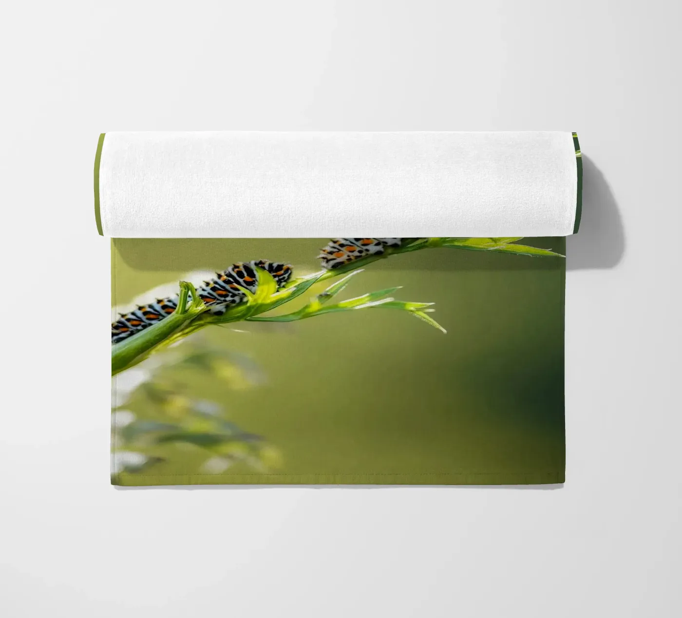 Rups strandhanddoek van Tom's Wildlife