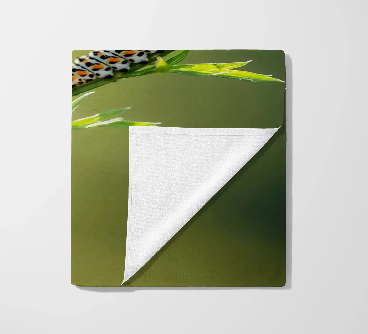 Rups strandhanddoek van Tom's Wildlife