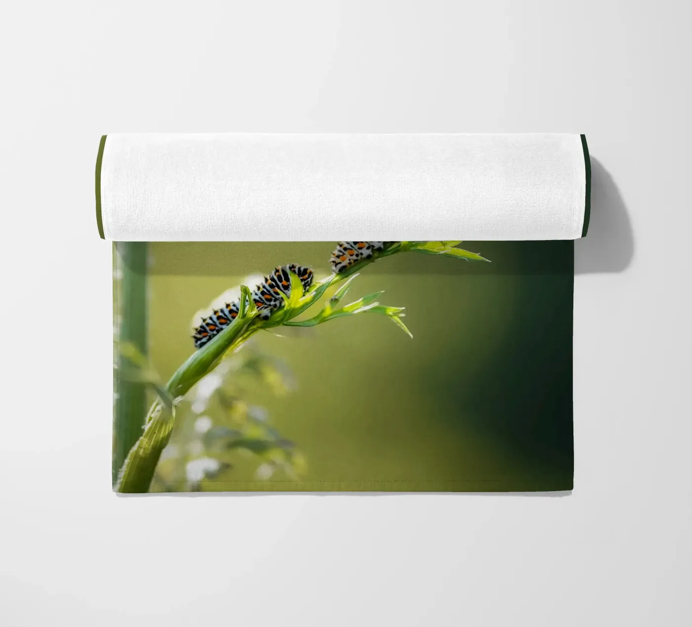 Rups strandhanddoek van Tom's Wildlife