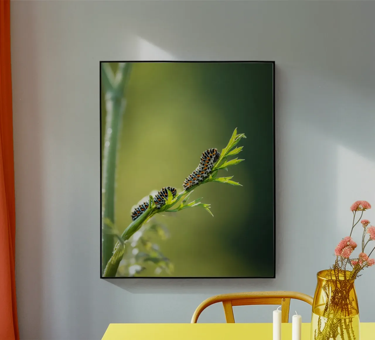 Caterpillar acrylic glass by Tom's Wildlife