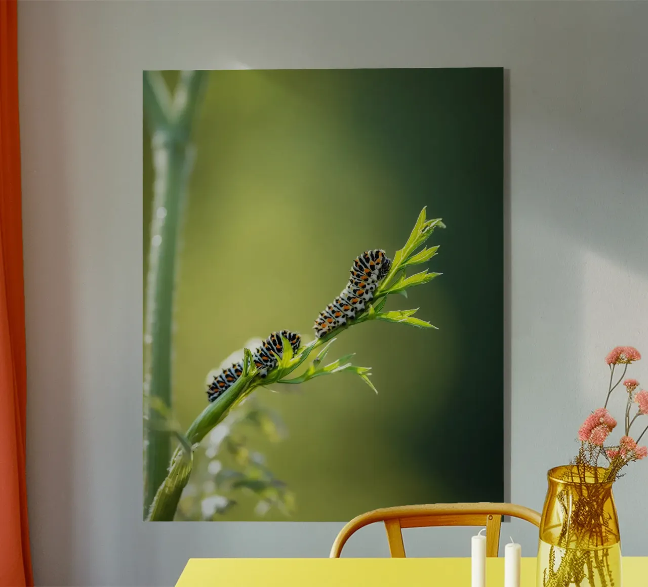 Caterpillar acrylic glass by Tom's Wildlife