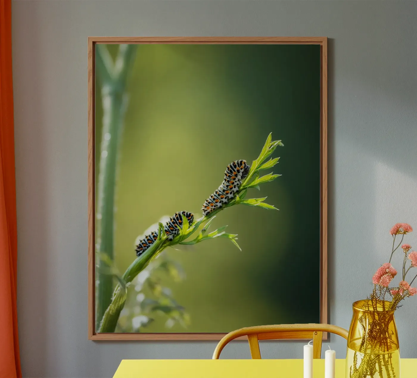 Bruco alluminio dibond da Tom's Wildlife